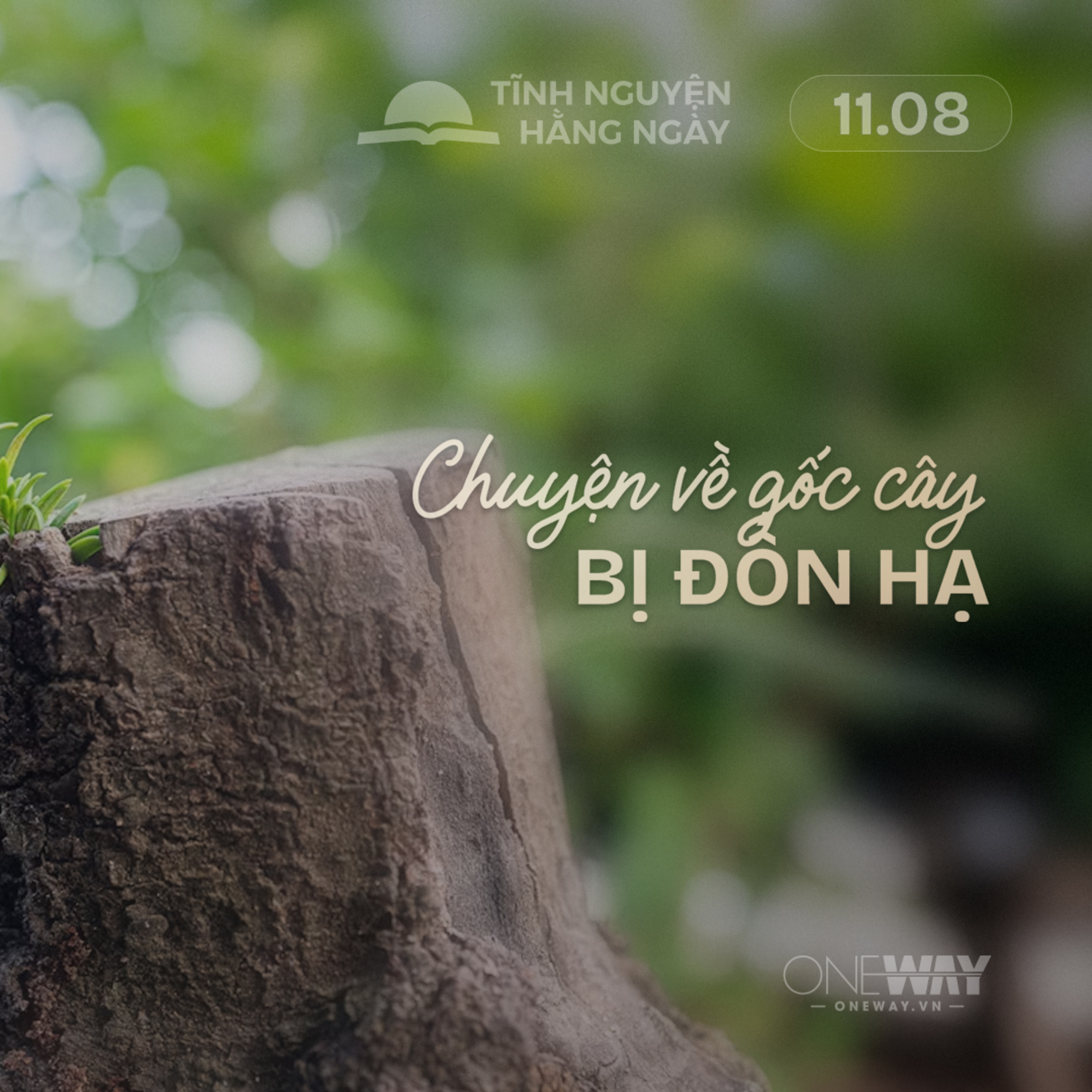 CHUYỆN VỀ GỐC CÂY BỊ ĐỐN HẠ | Tĩnh Nguyện Hằng Ngày 11/08/2026 episode artwork