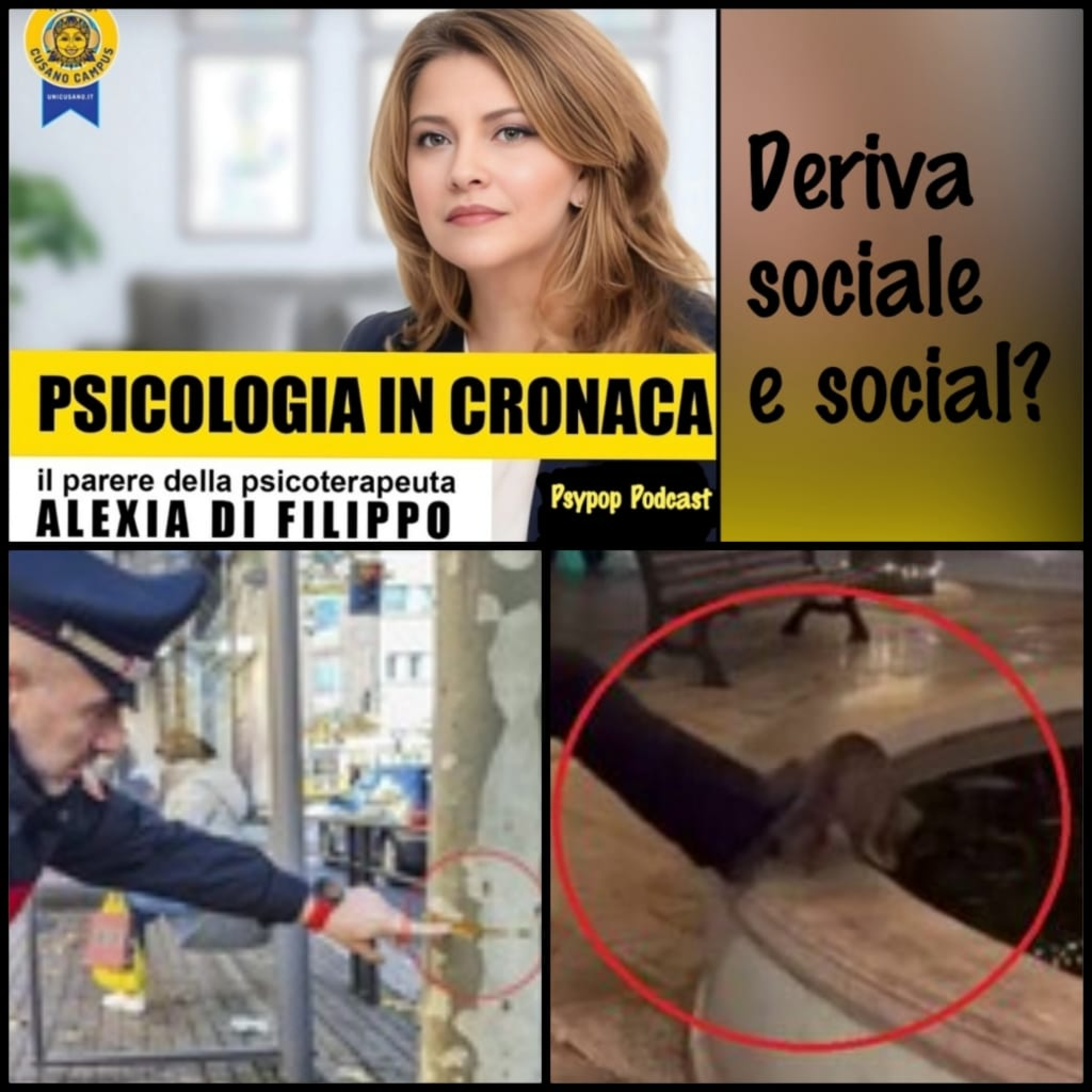 Deriva sociale e social? I casi del cavo di acciaio a Milano e del gatto di Alberobello