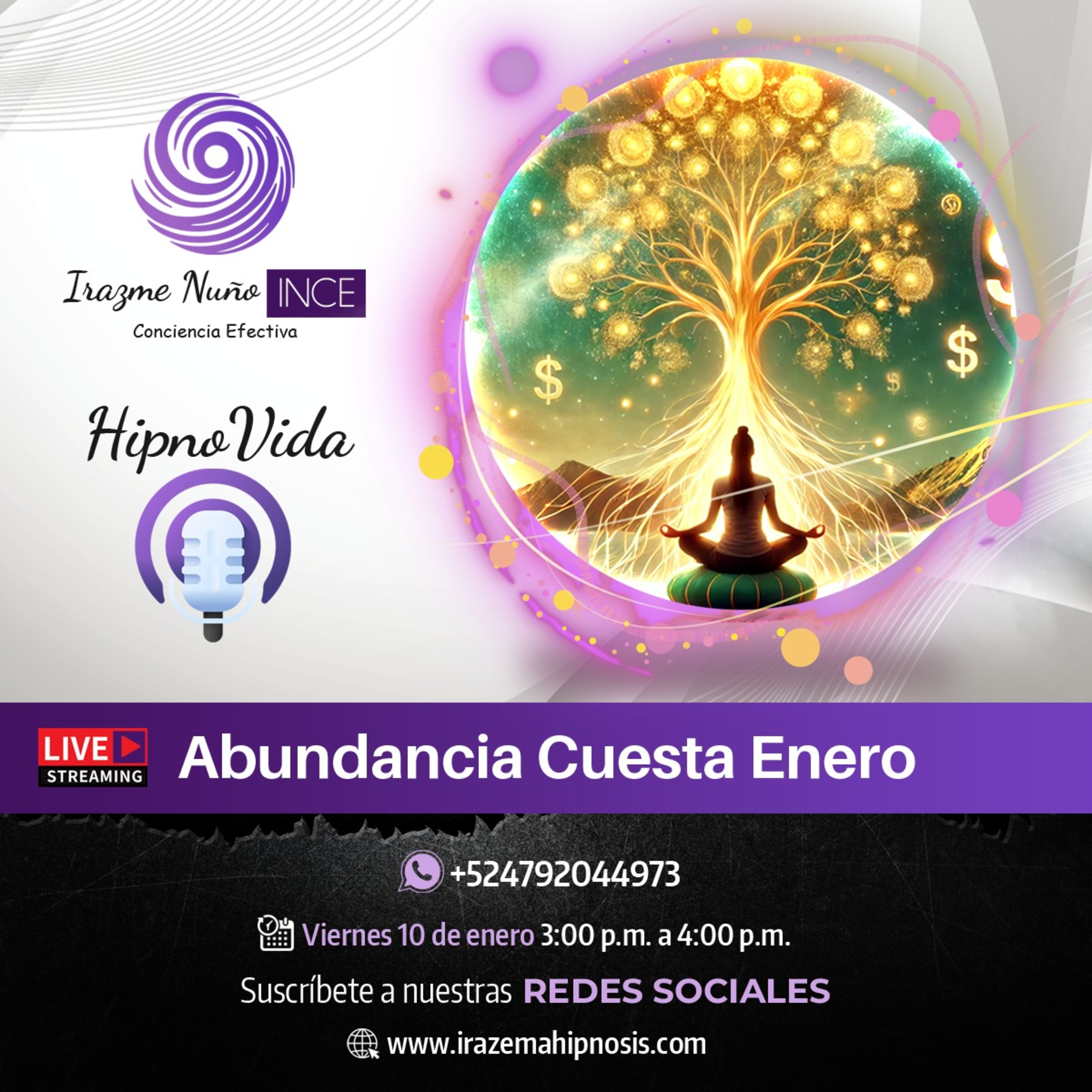 Programación Guanatoz Fm Network.