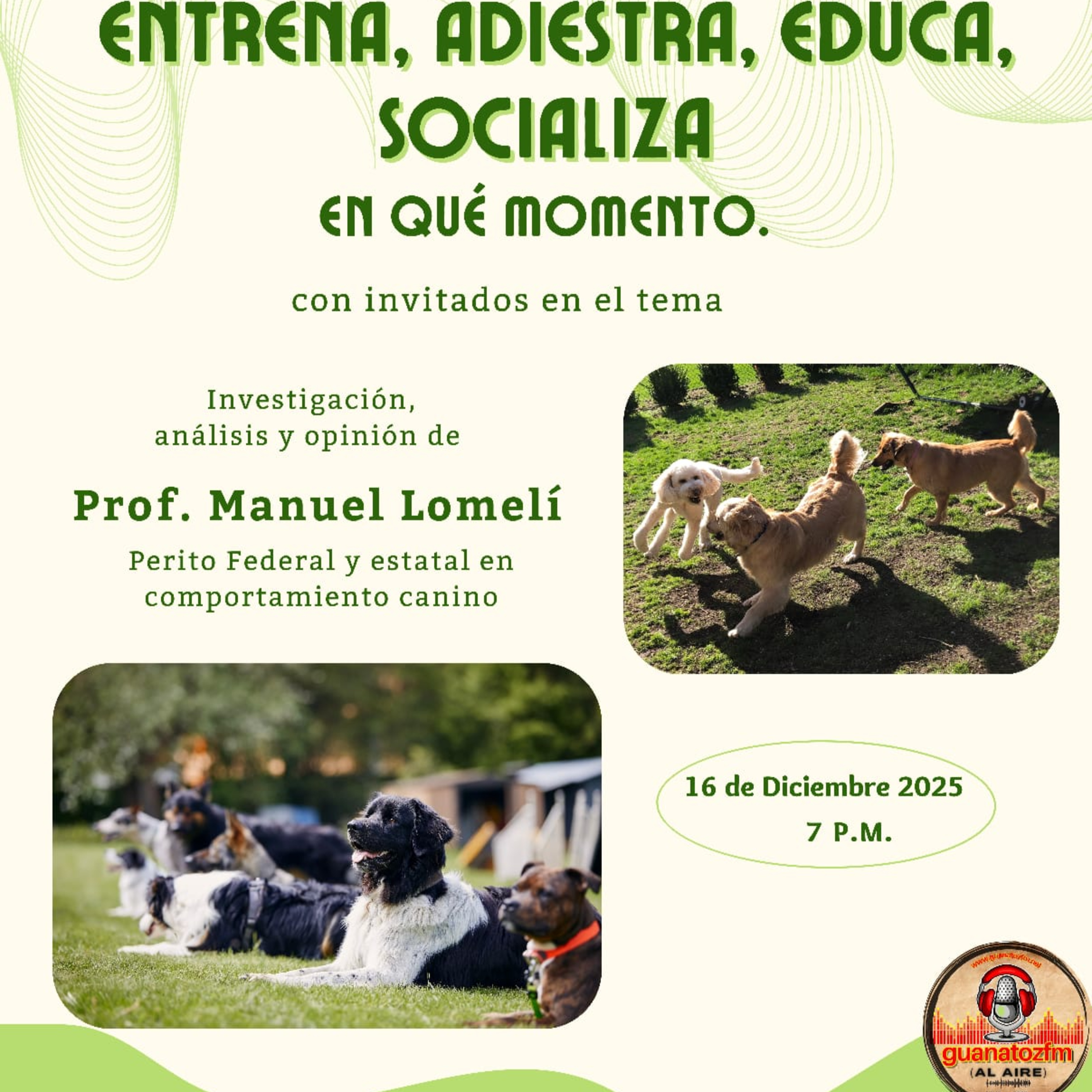 Civismo Canino_ Entrena_ Adiestra_ Educa_ Socializa En Que Momento episode artwork