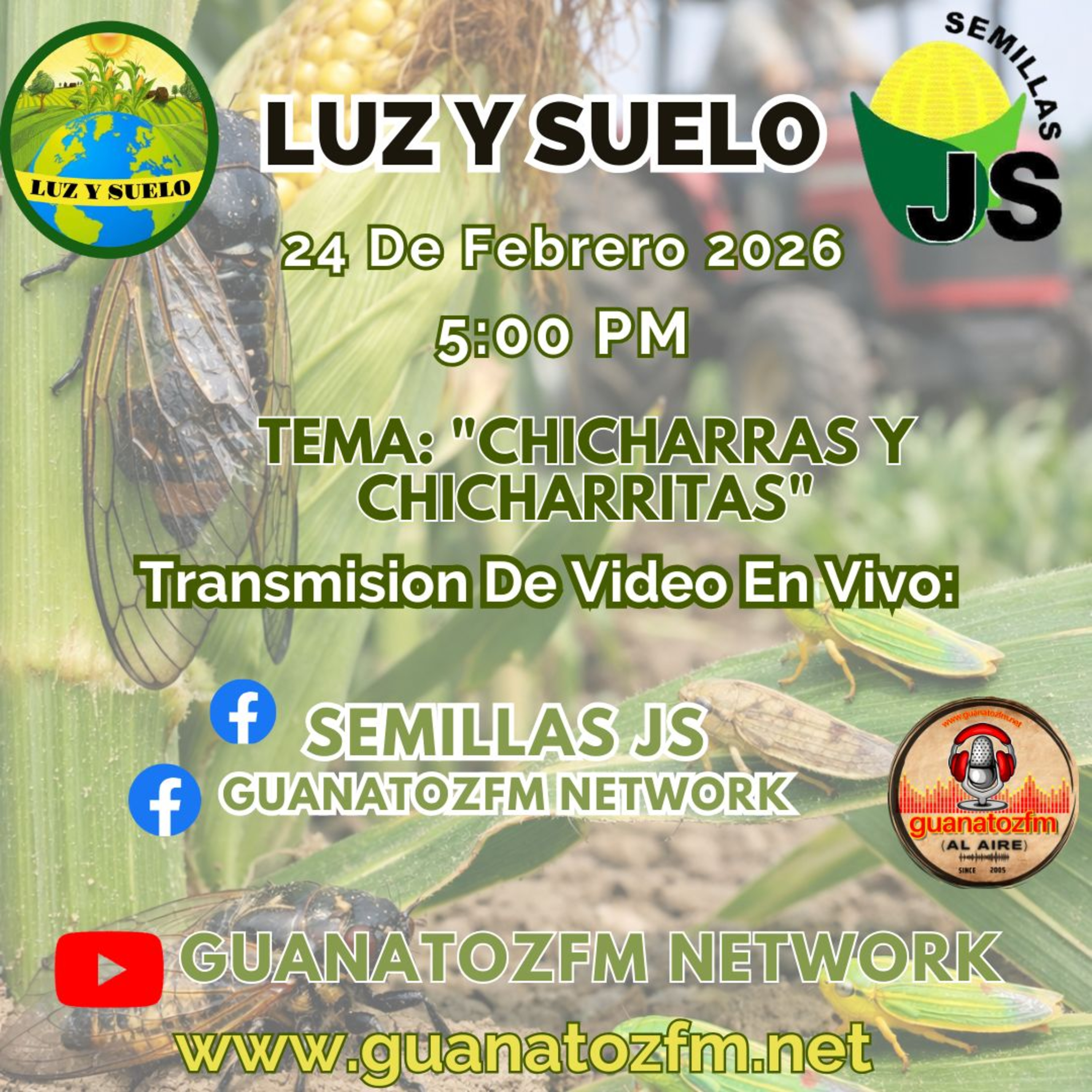 Luz y Suelo 24 De Febrero 2026 episode artwork