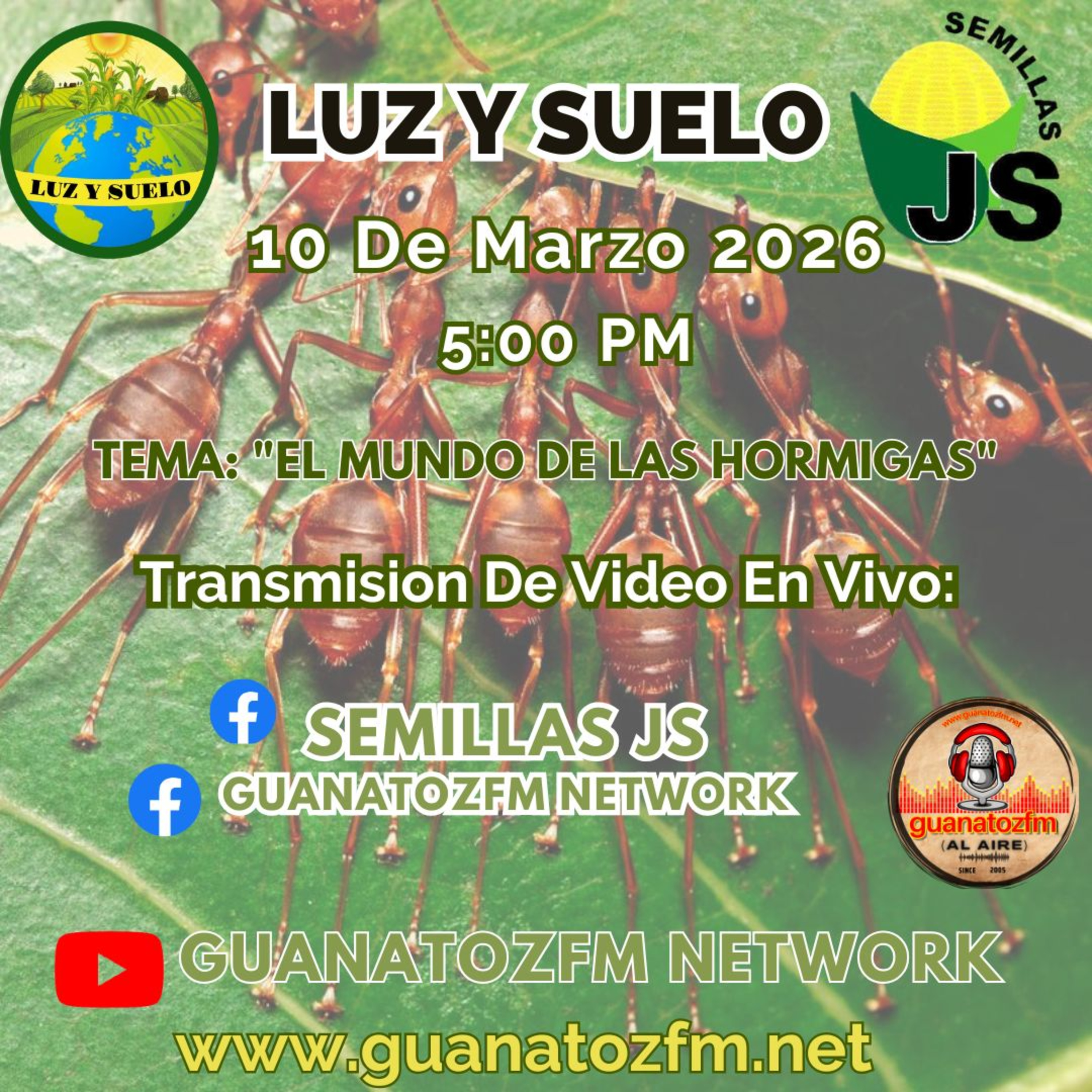 Luz y Suelo 10 De Marzo 2026 episode artwork