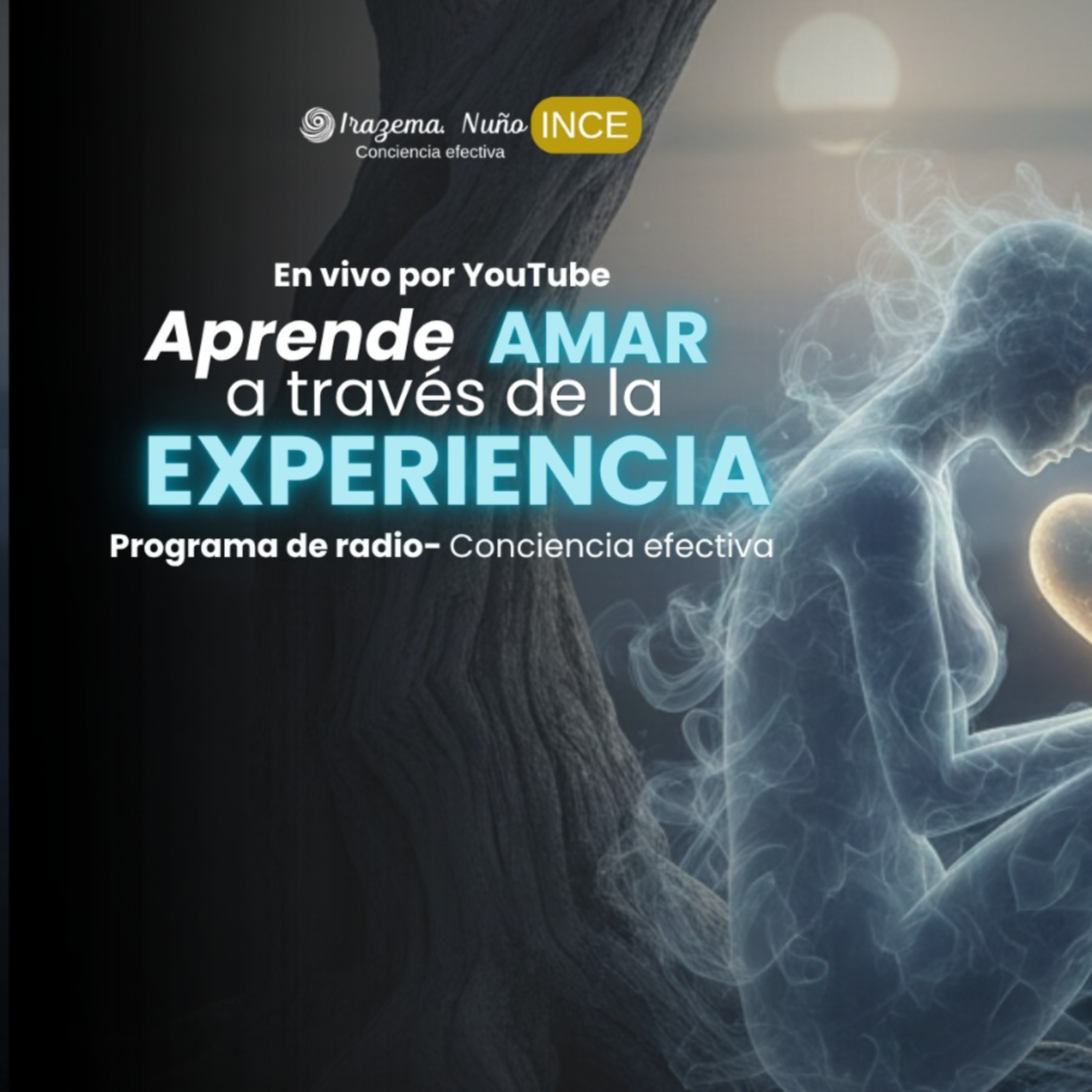 Hipnovida 17 De Abril 2026
