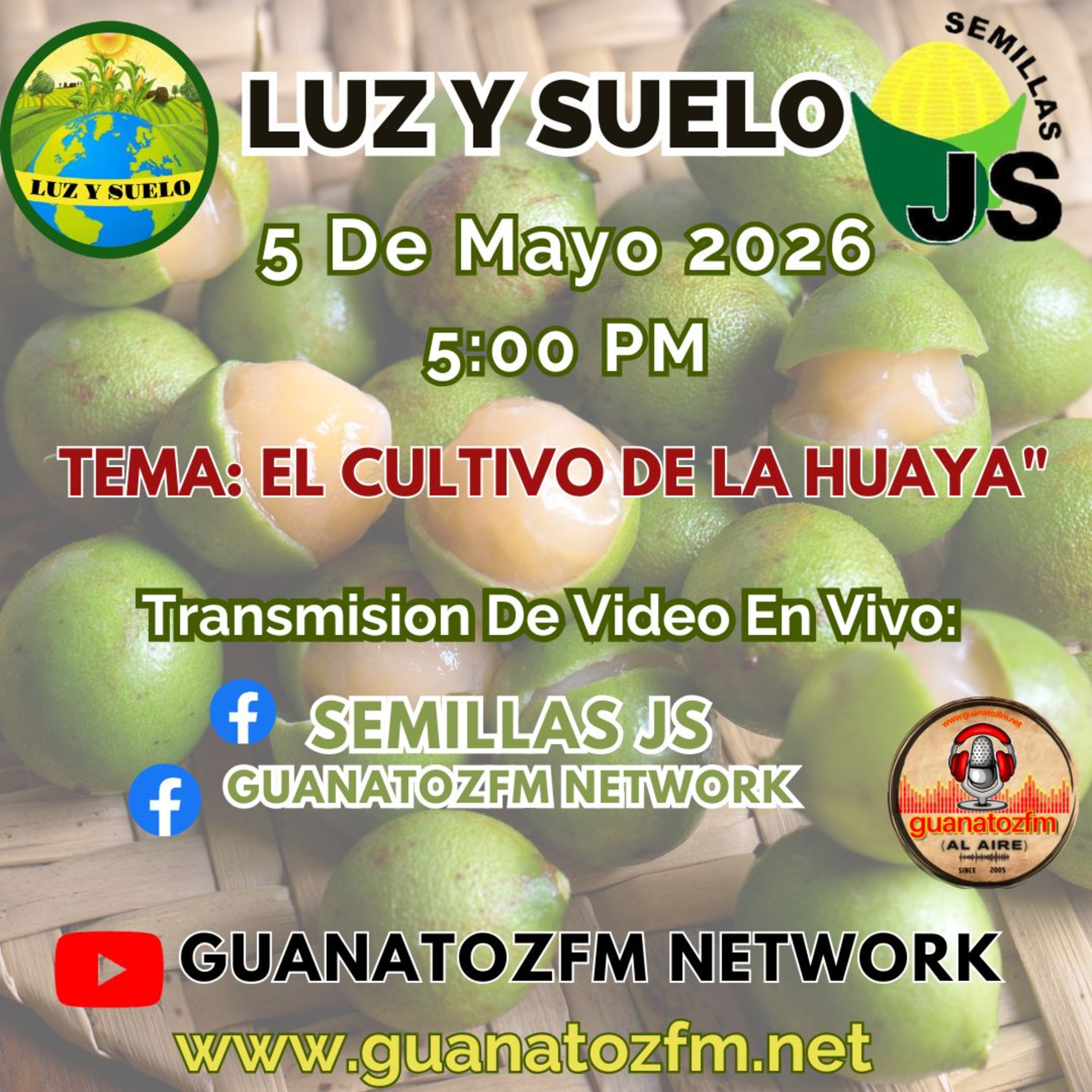 Luz y Suelo 5 De Mayo 2026