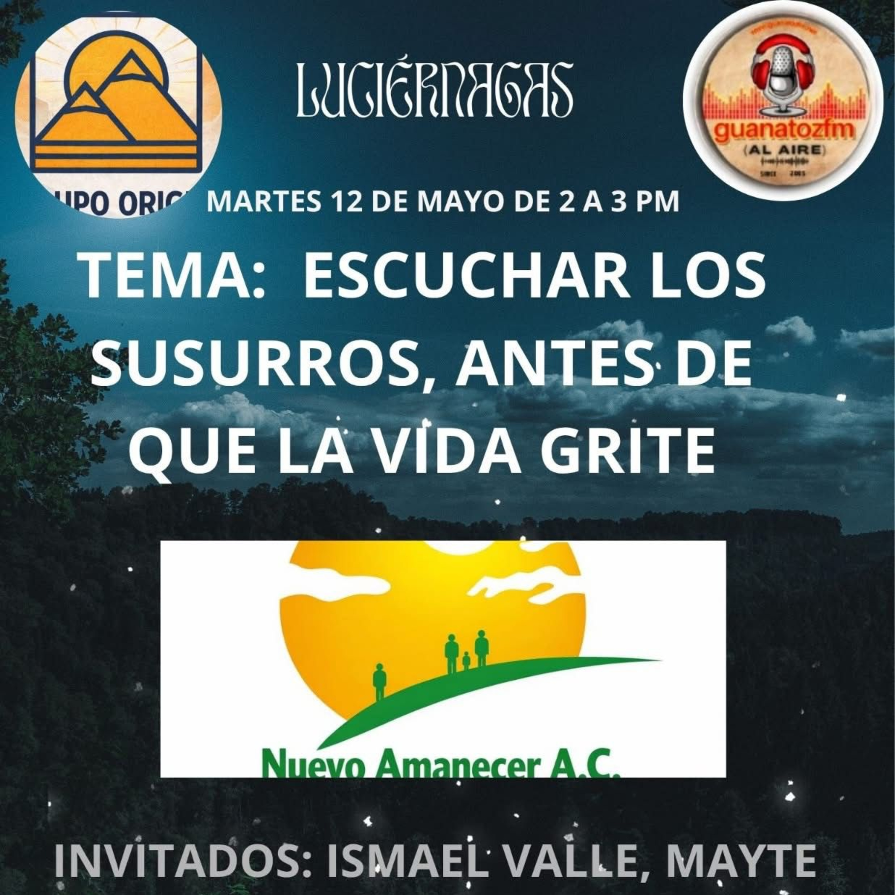 Luciernagas Una Lu En La Obscruridad 12 De Mayo 2026
