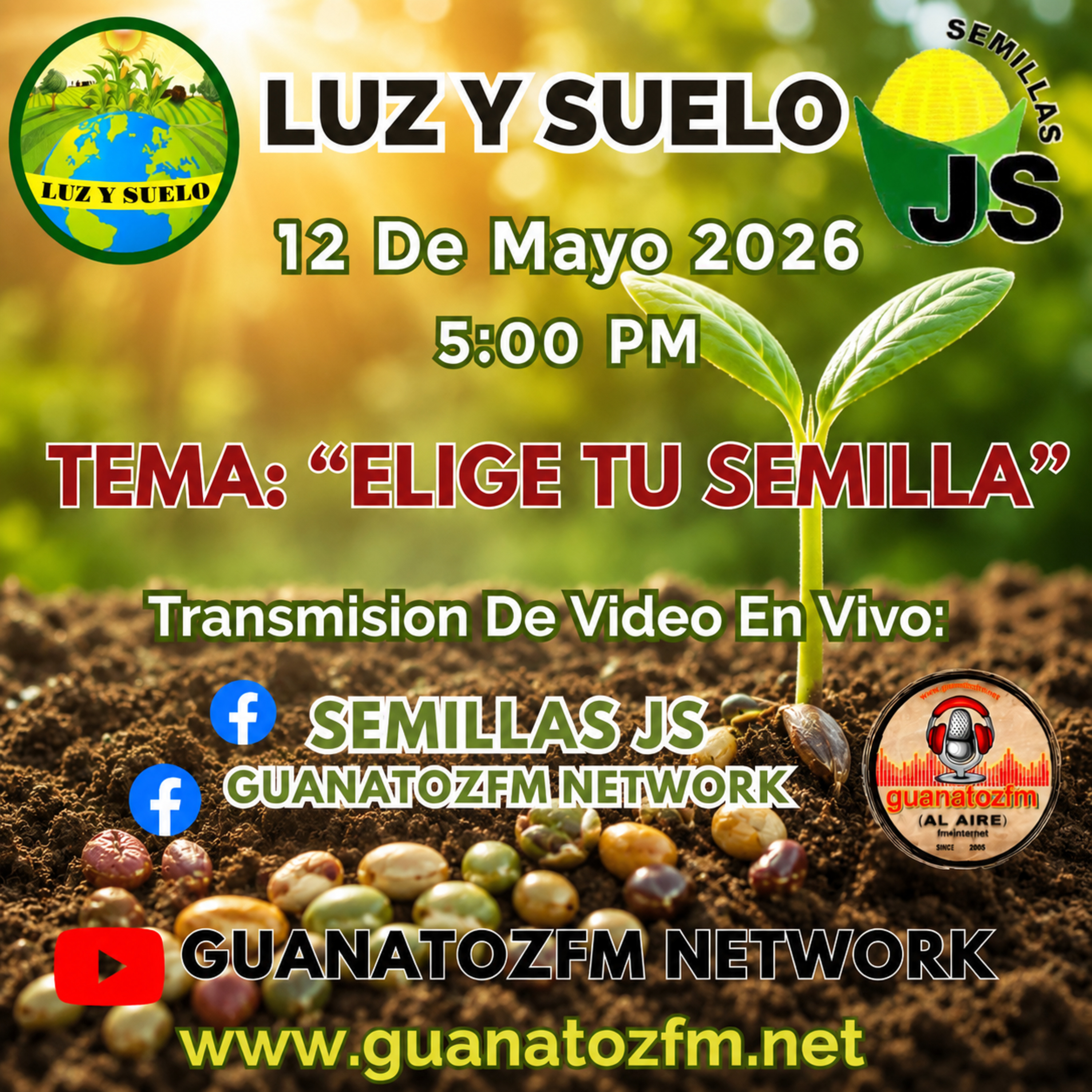 Luz Y Suelo 12 De Mayo 2026