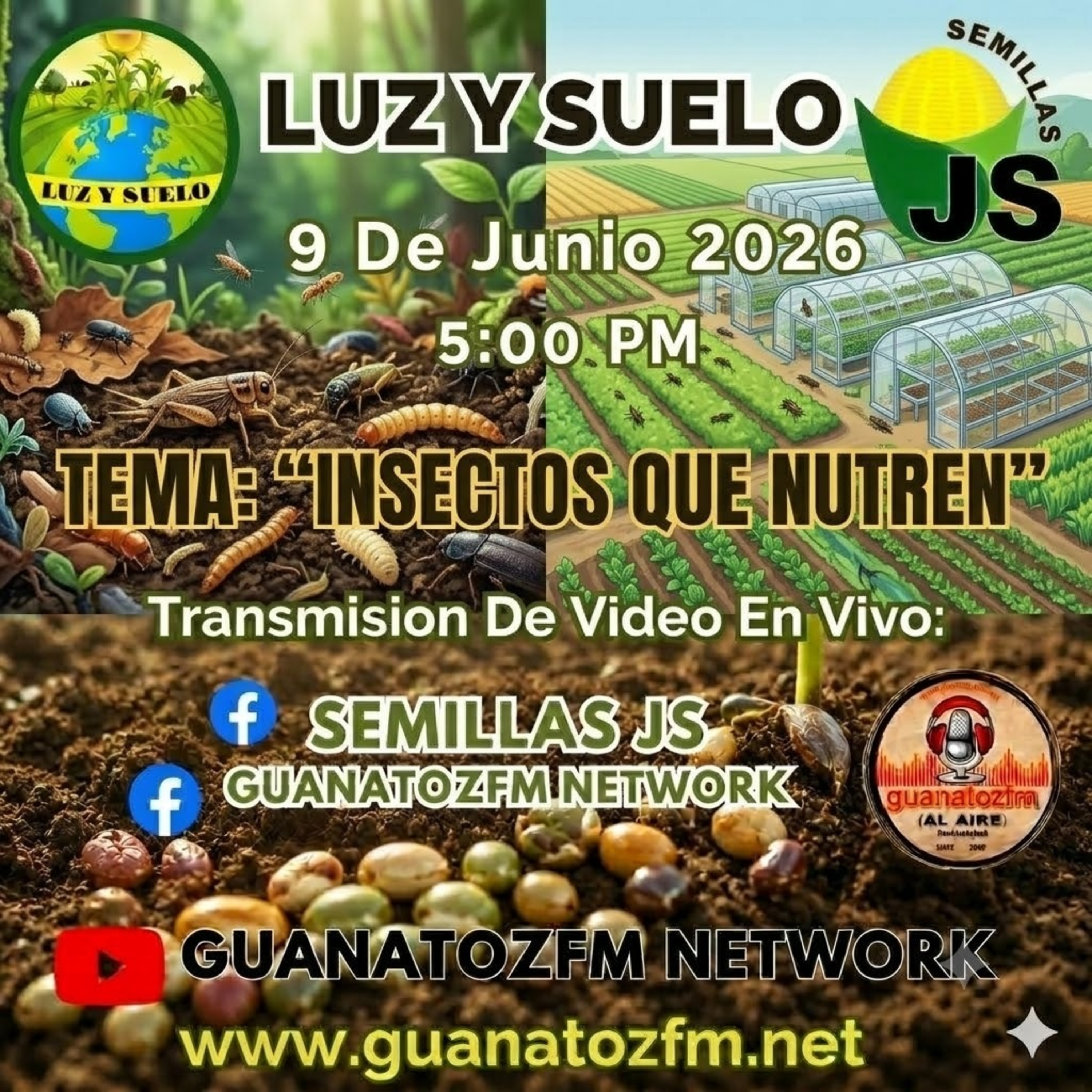 Tema_ Insectos Que Nutren episode artwork