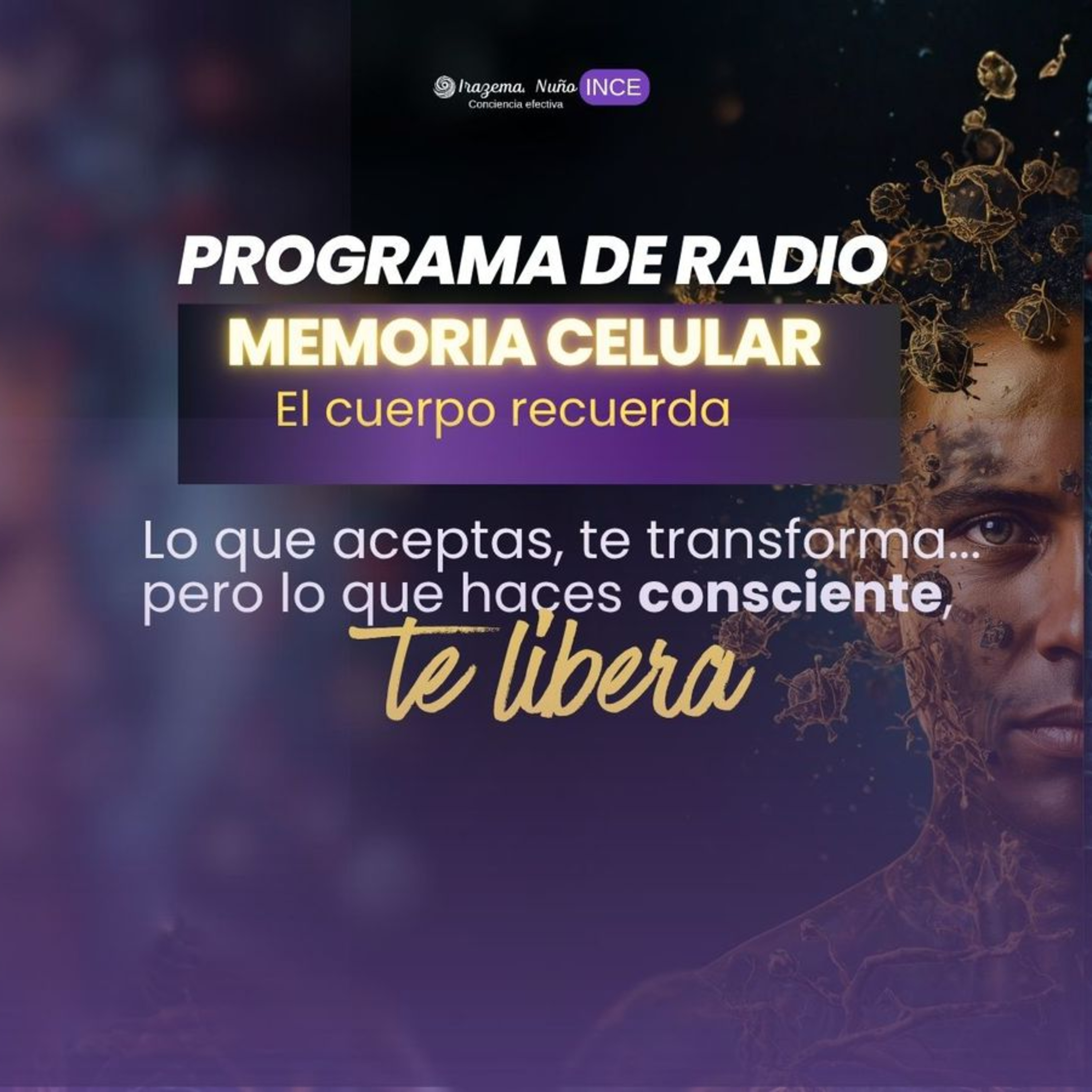 Portada de Guanatoz FM Network Podcast
