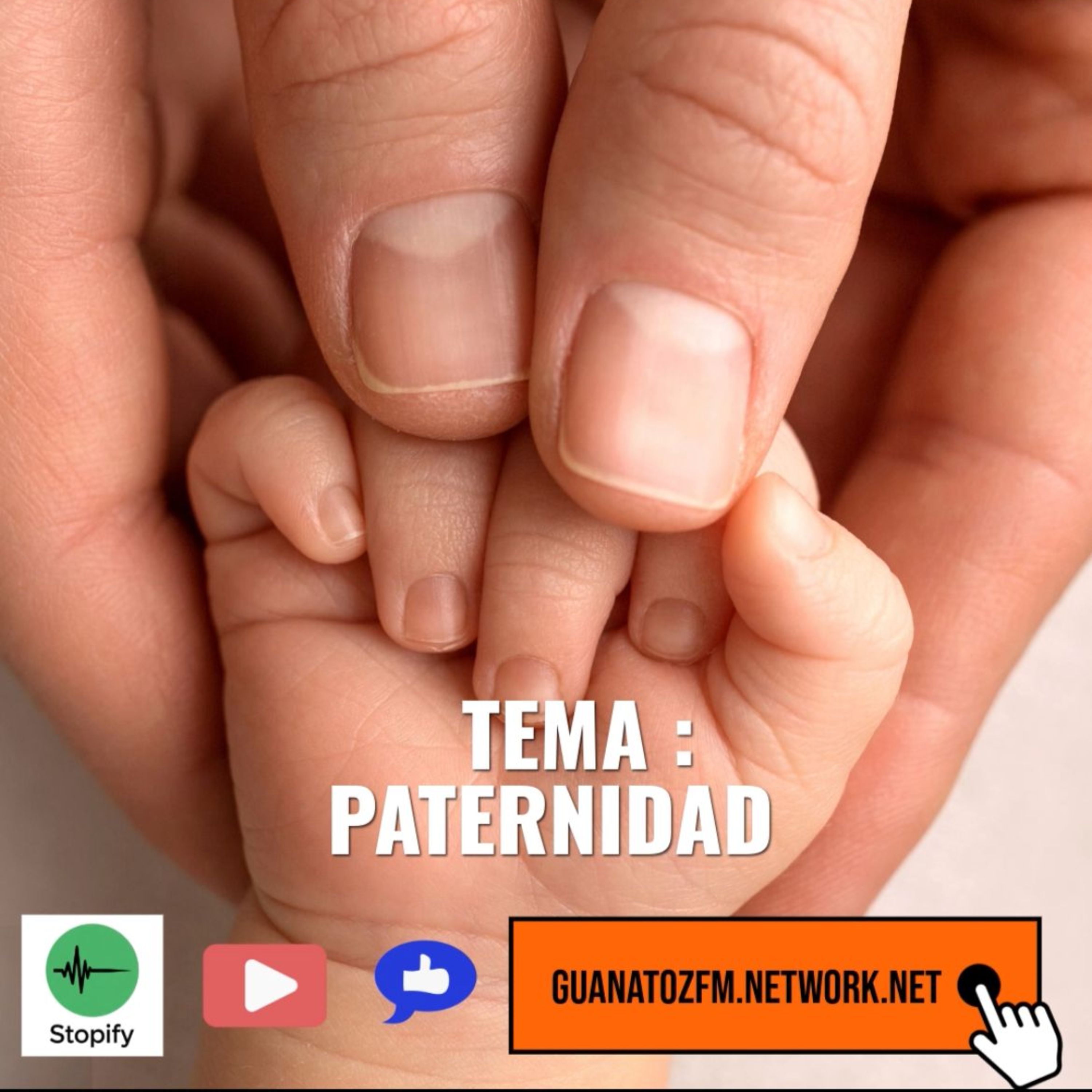 Tema_ Paternidad episode artwork