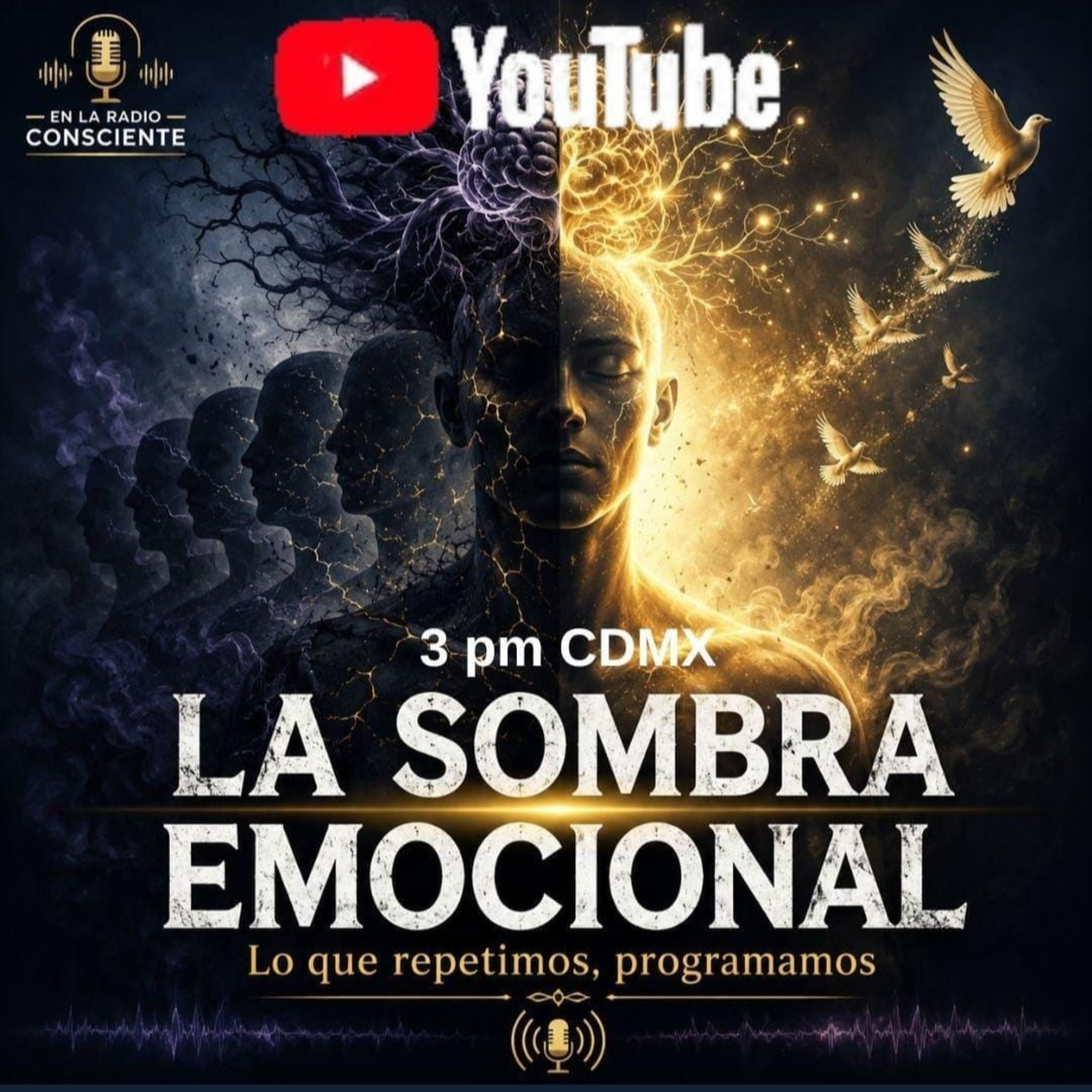 Tema_ La Sombra Emocional episode artwork