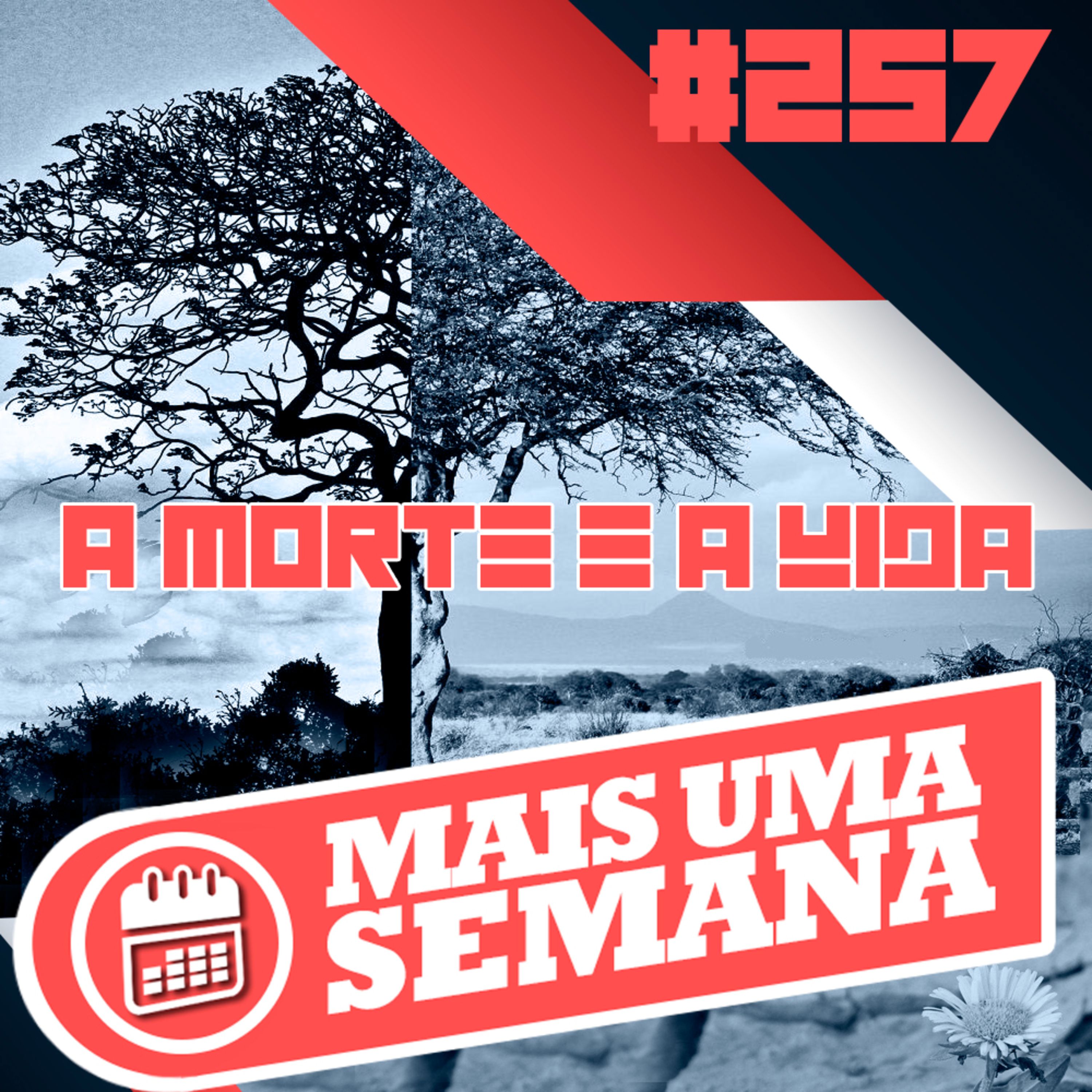 Mais Uma Semana