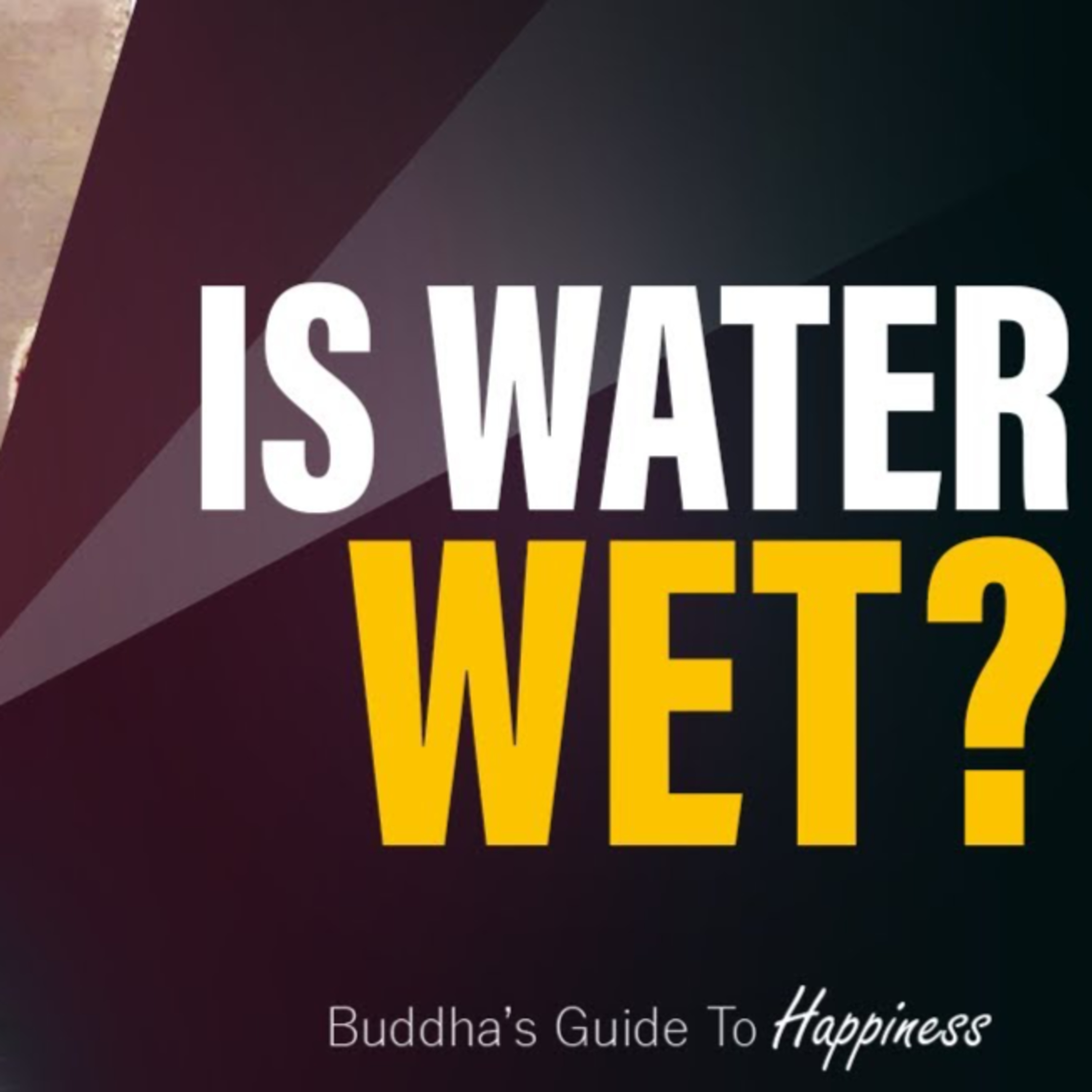 Is water wet?