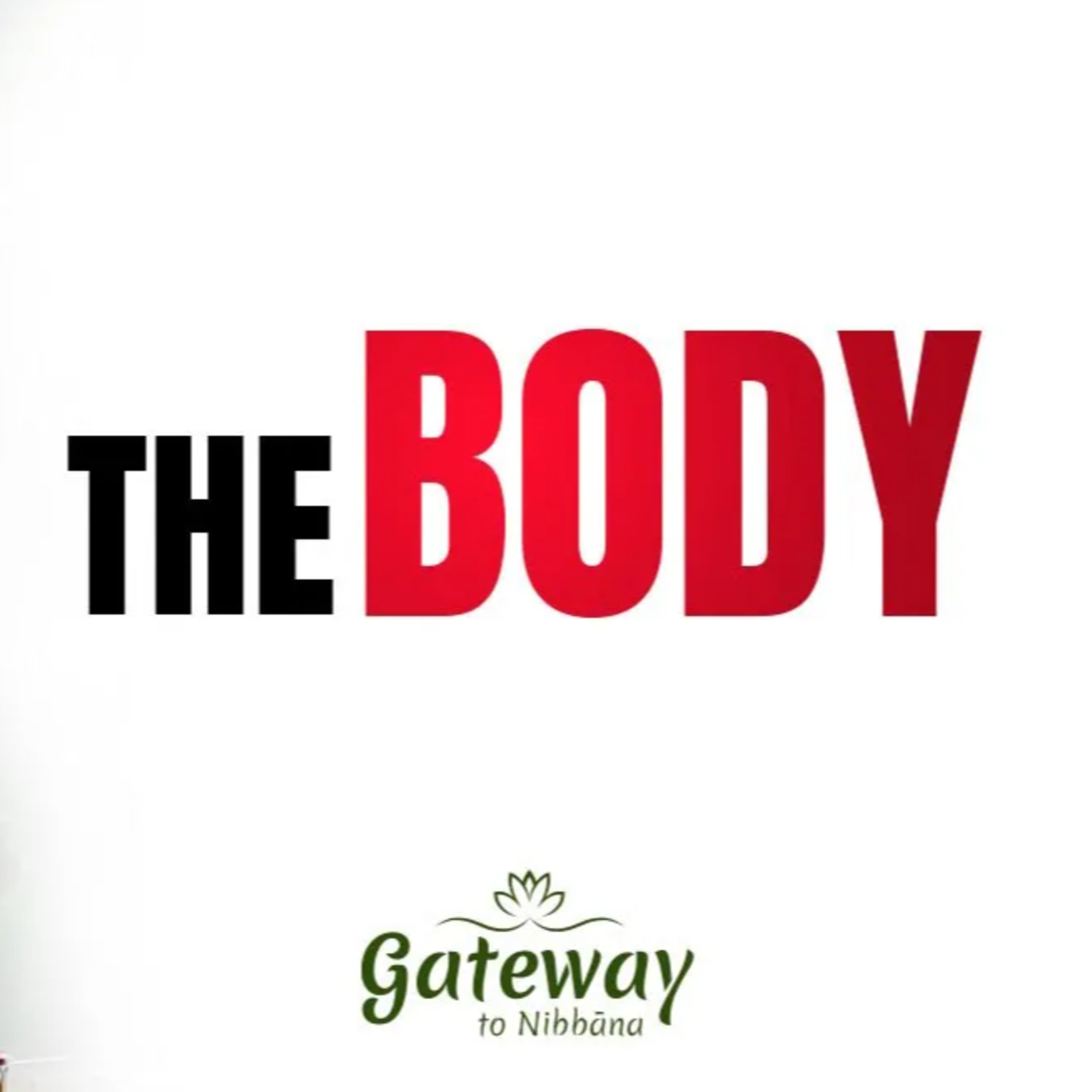 Contemplation of a body | The Body