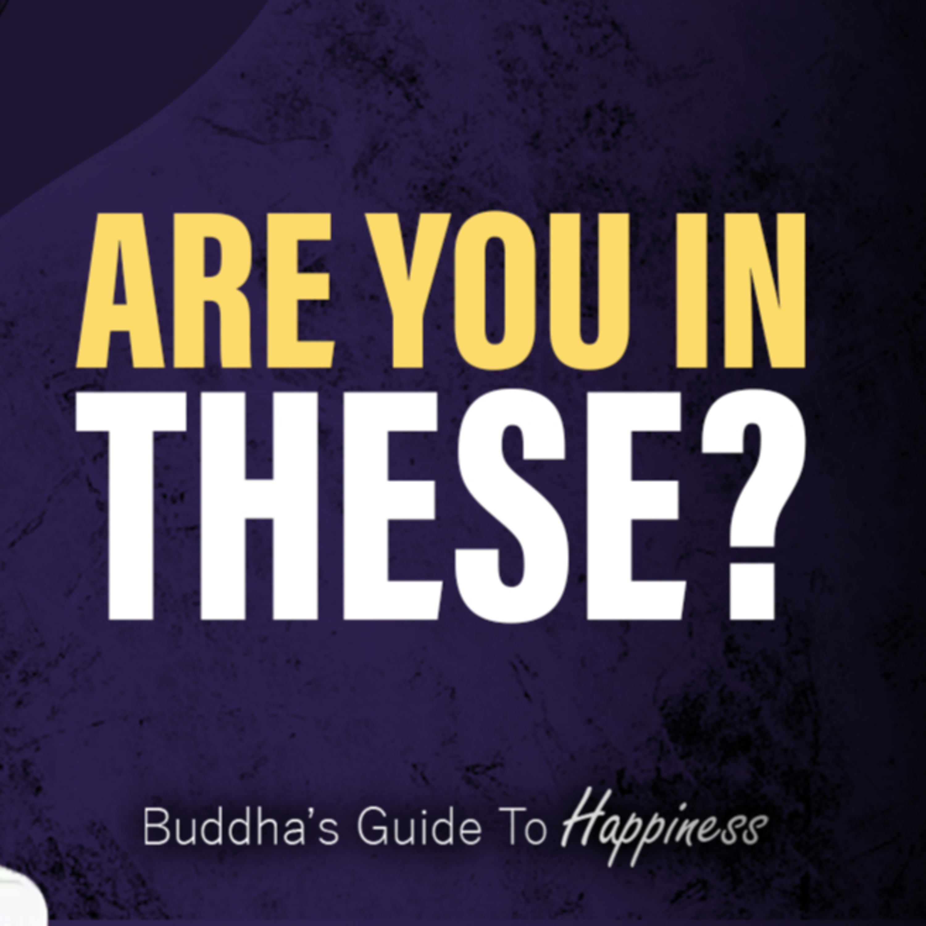 Are You in These?