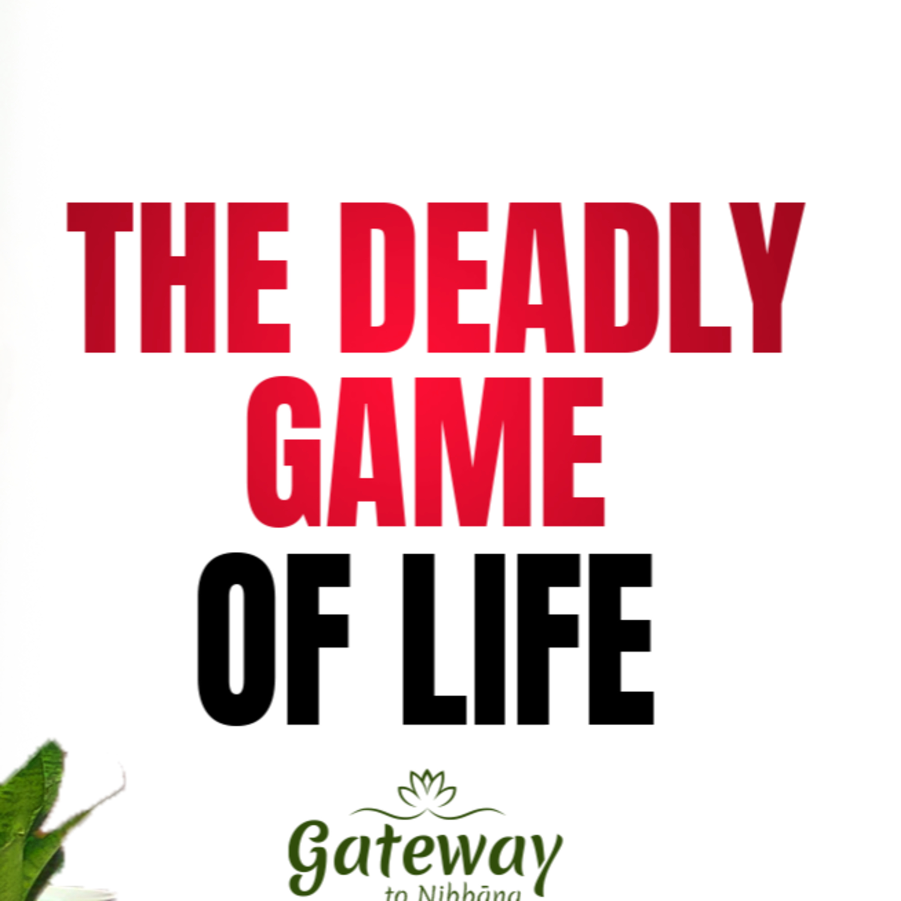 The Deadly Game of Life