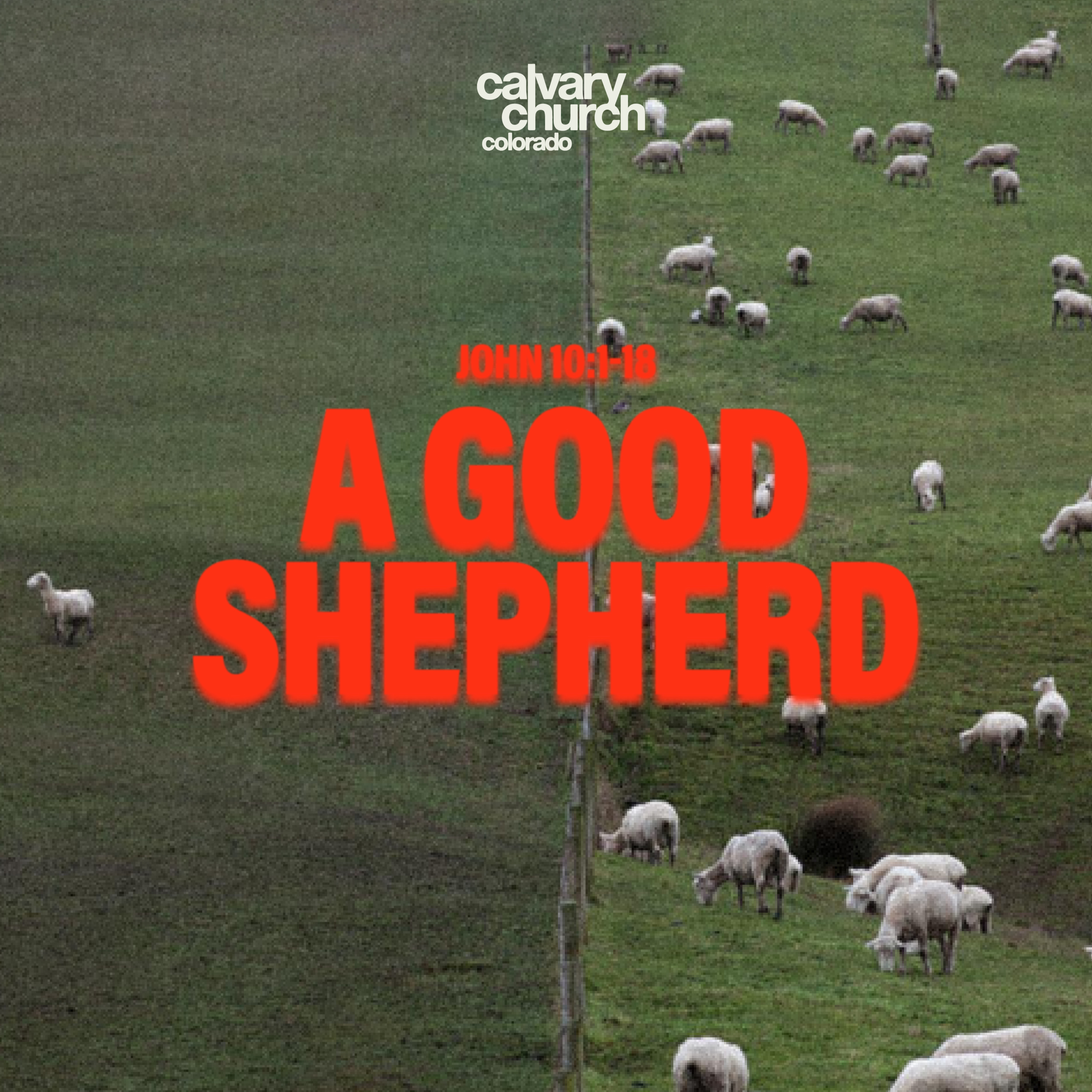 #20251026 - A Good Shepherd - John 10:1-6 episode artwork