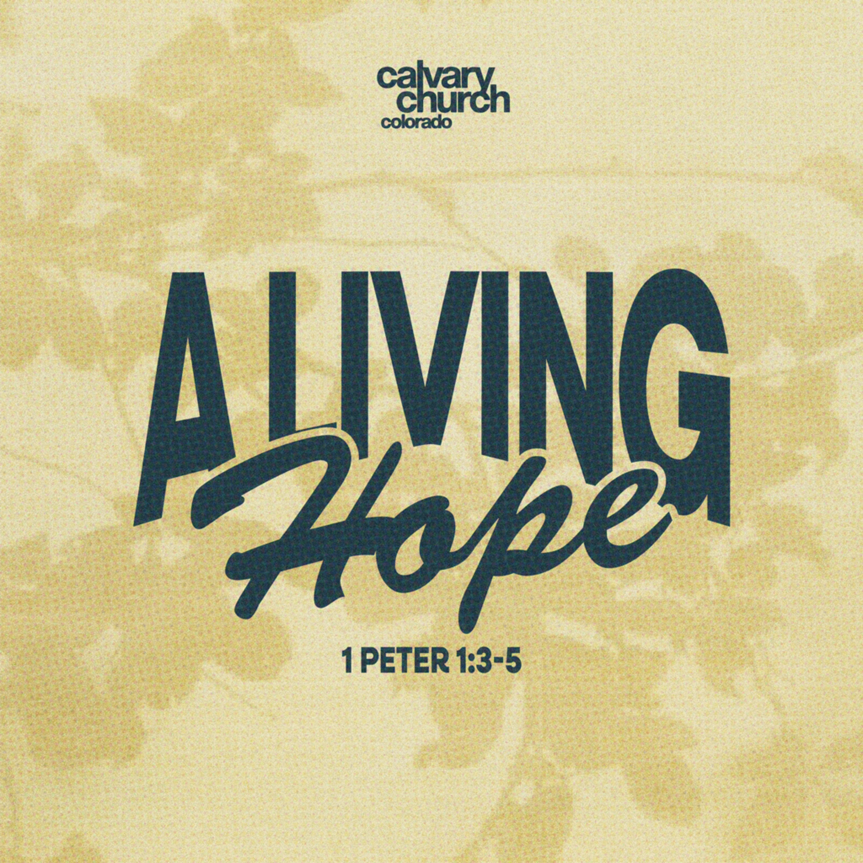 #20260712 - A Living Hope - 1 Peter 1:3-5 episode artwork
