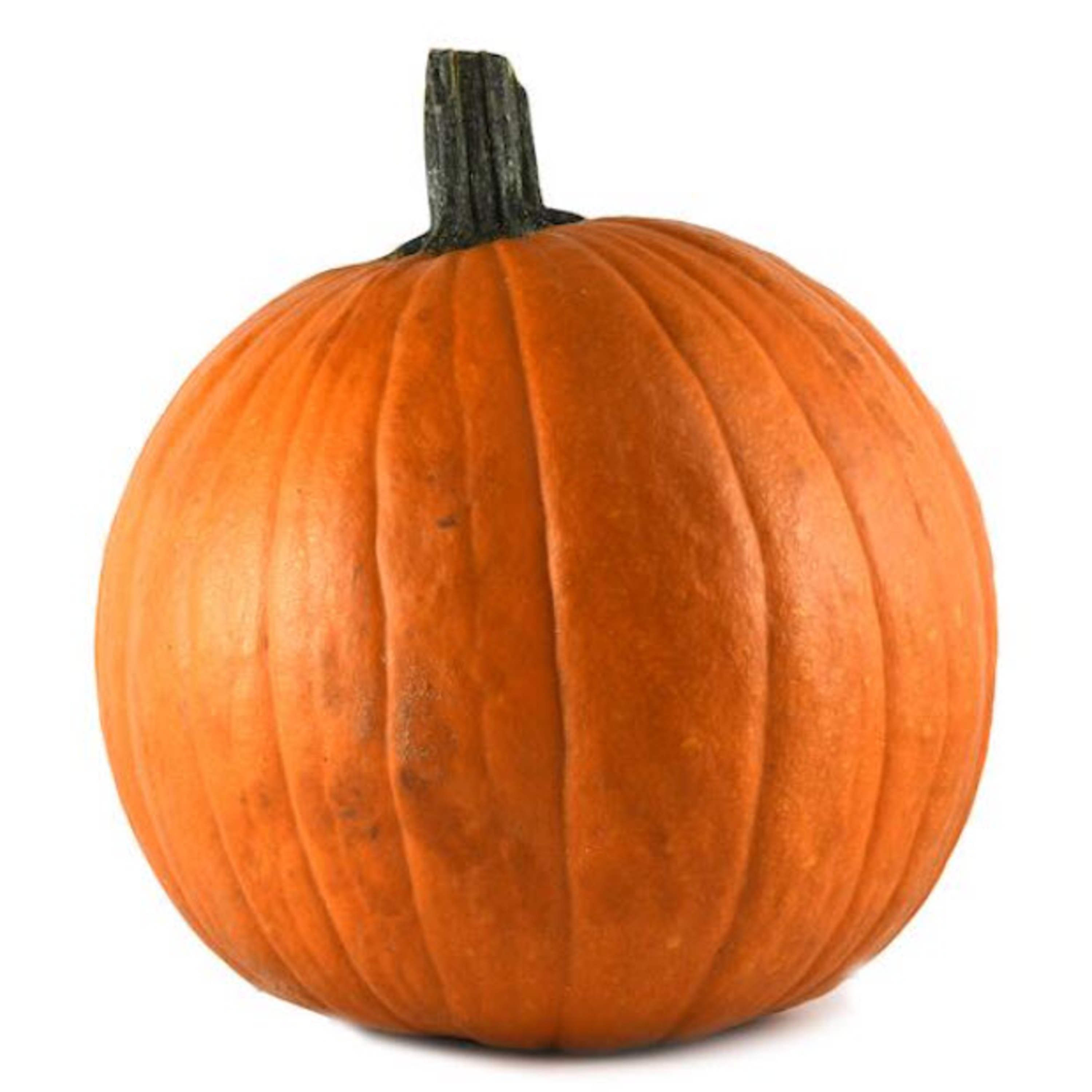 Week 7 - Pumpkin Week episode artwork