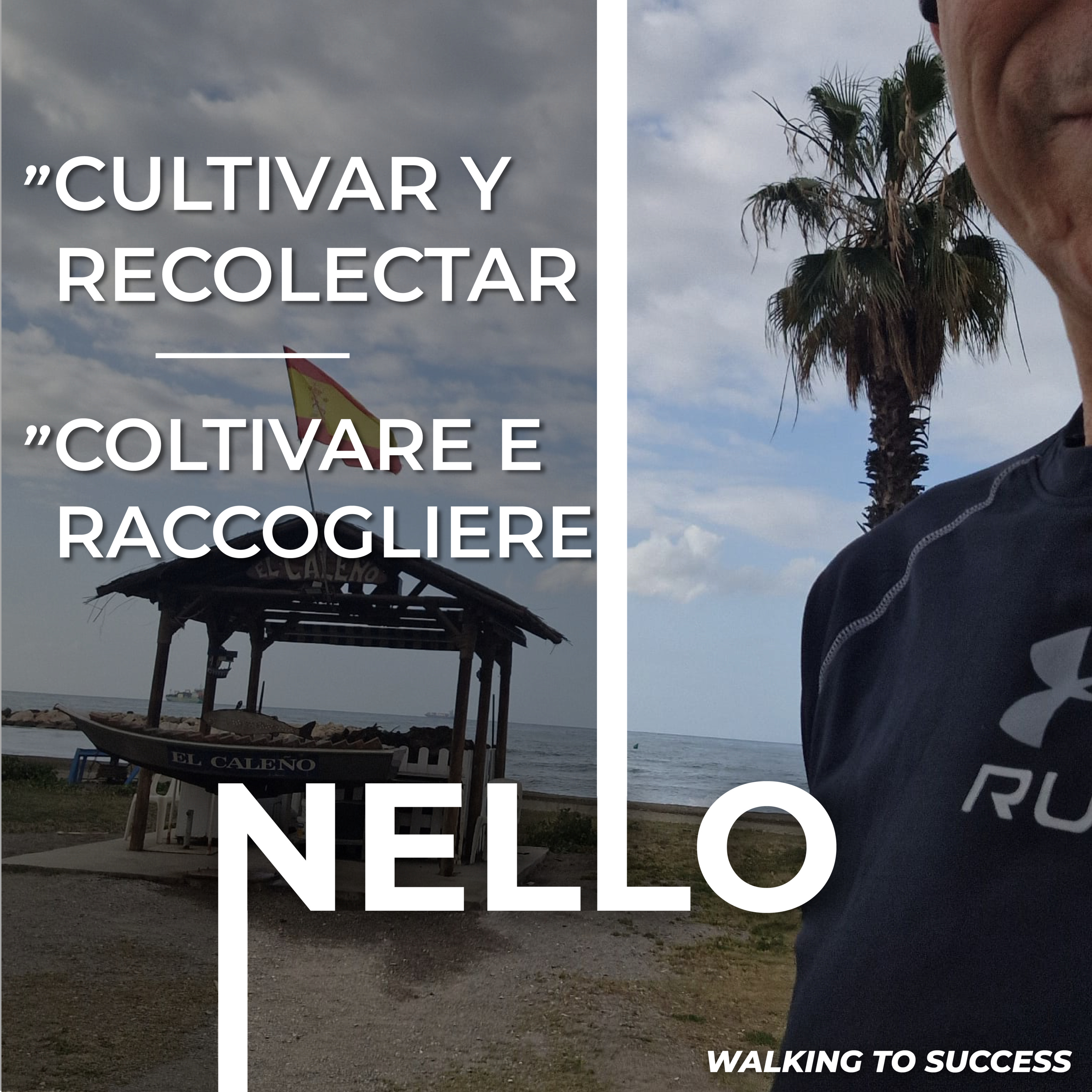 Portada de Nello D'Angelo