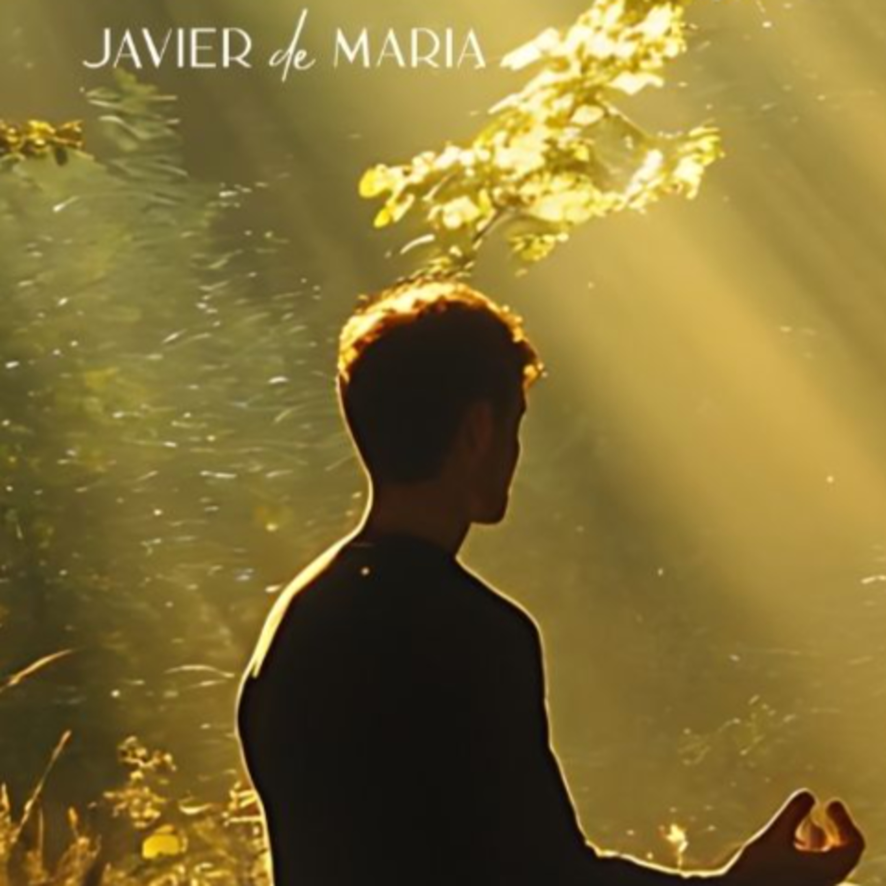 Meditación y Craneosacral, Método ASA