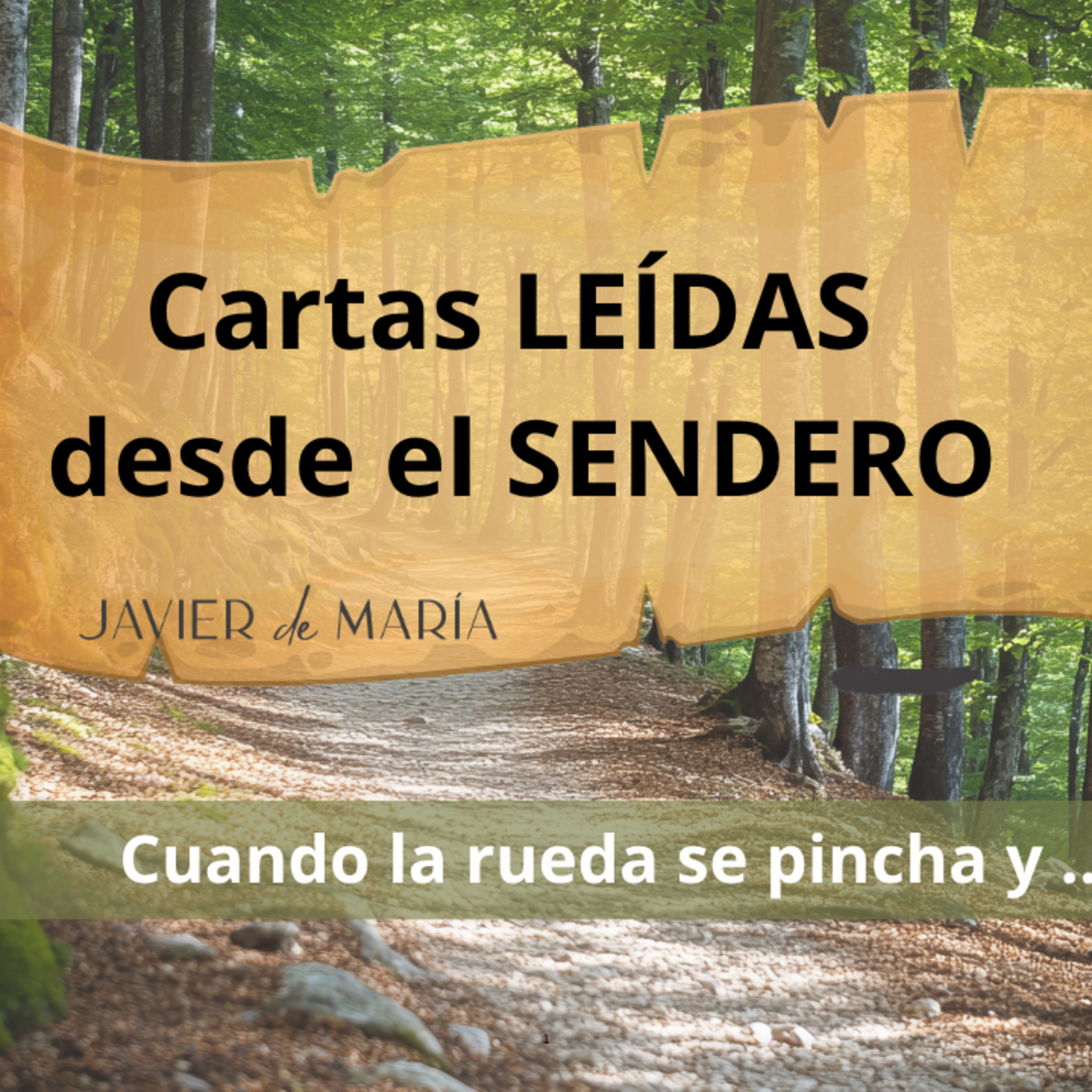 Cartas desde el Sendero #1: Cuando la rueda se pincha y...