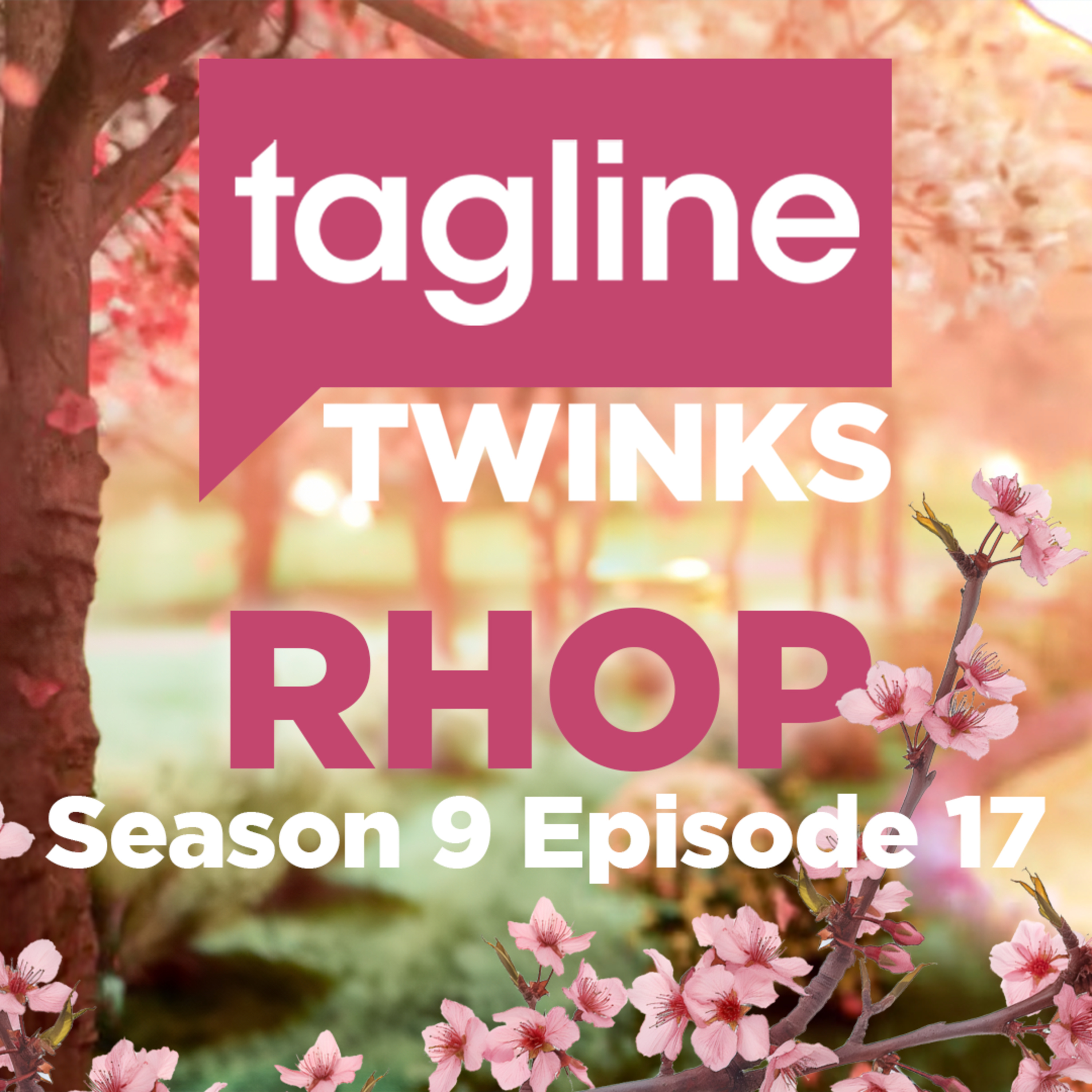 Tagline Twinks: A Real Housewives and Reality Recap Podcast