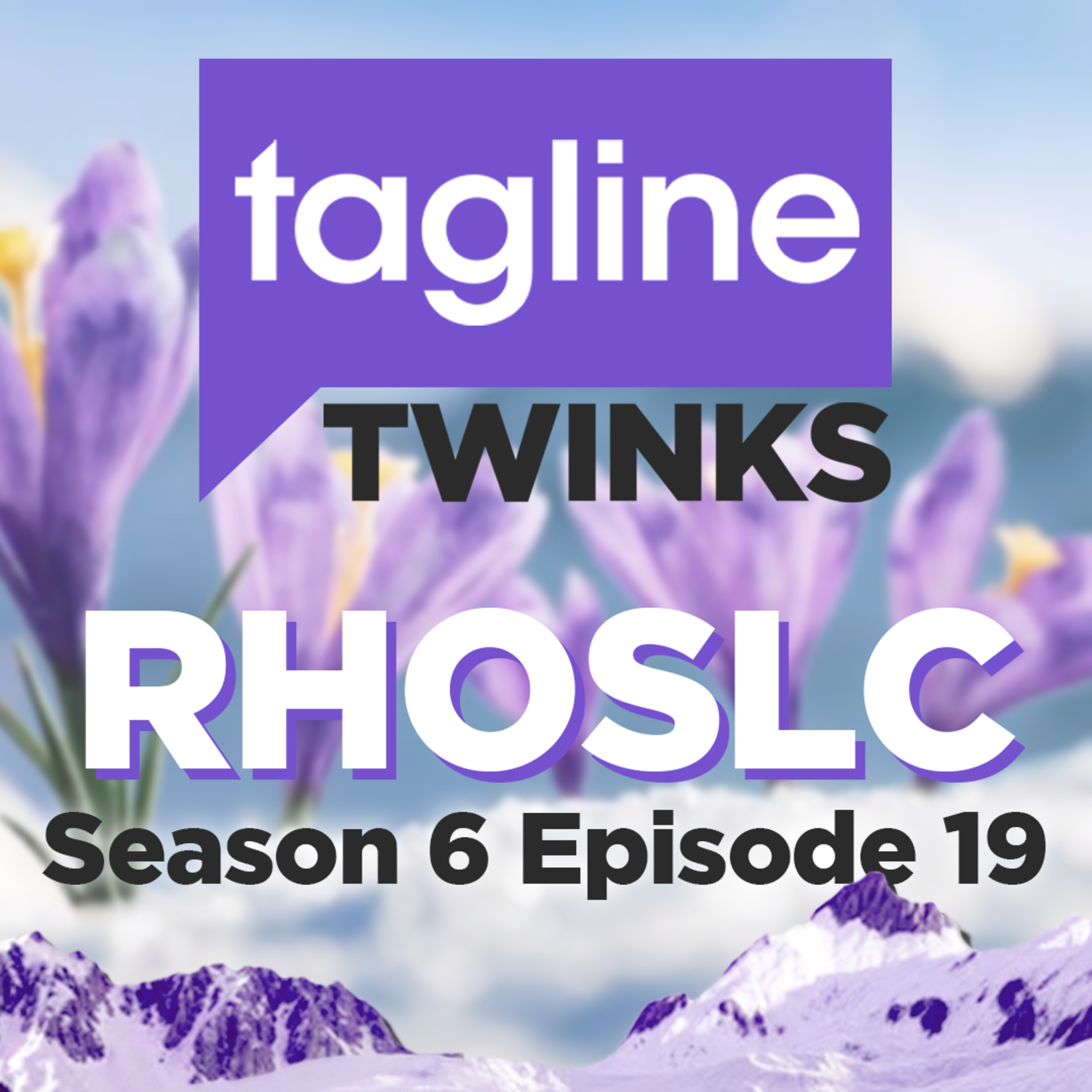 Bronwyn and Todd are separated (Real Housewives of Salt Lake City S06E19 Recap) episode artwork