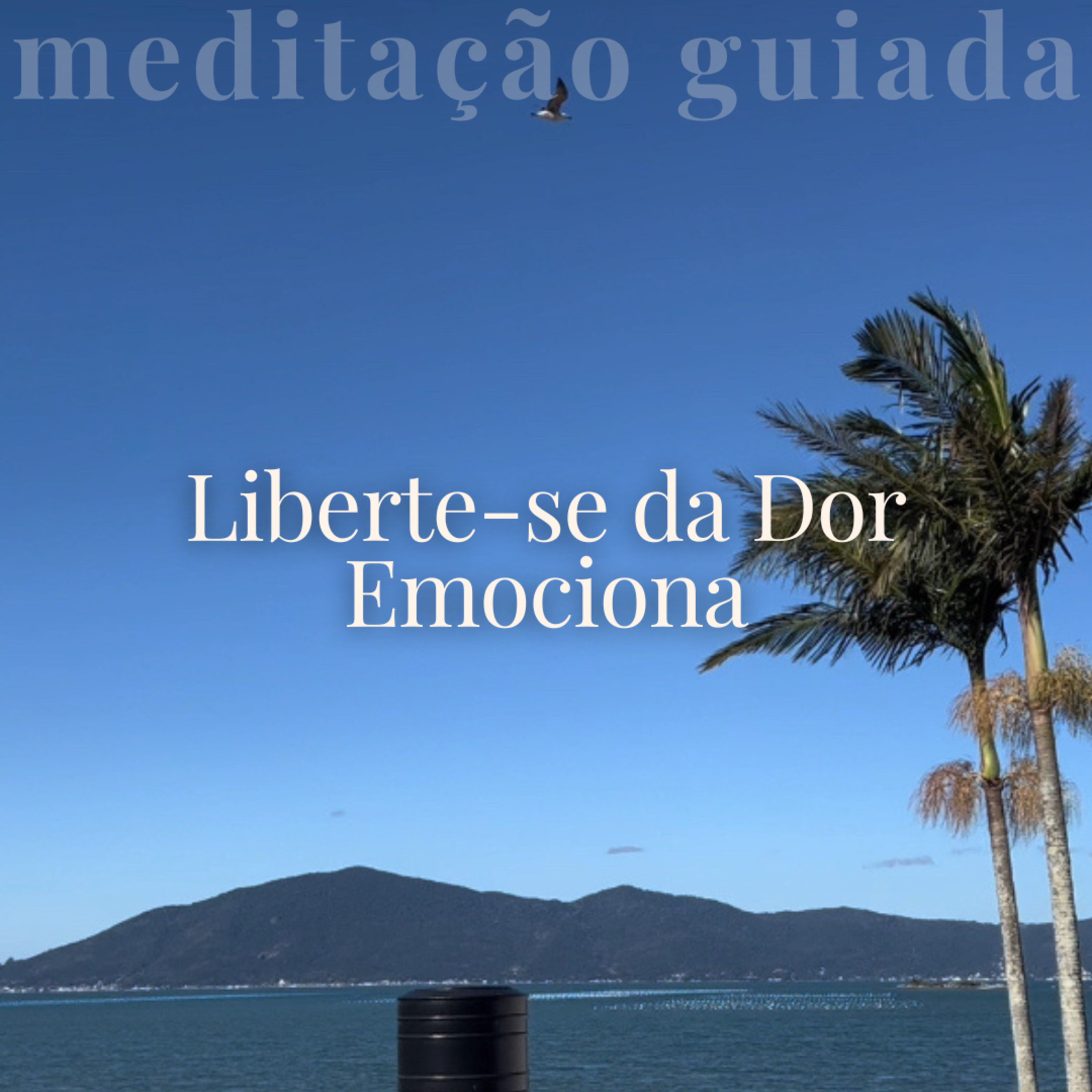 Restaure Seu Coração: Meditação para Curar Feridas Emocionais Profundas episode artwork