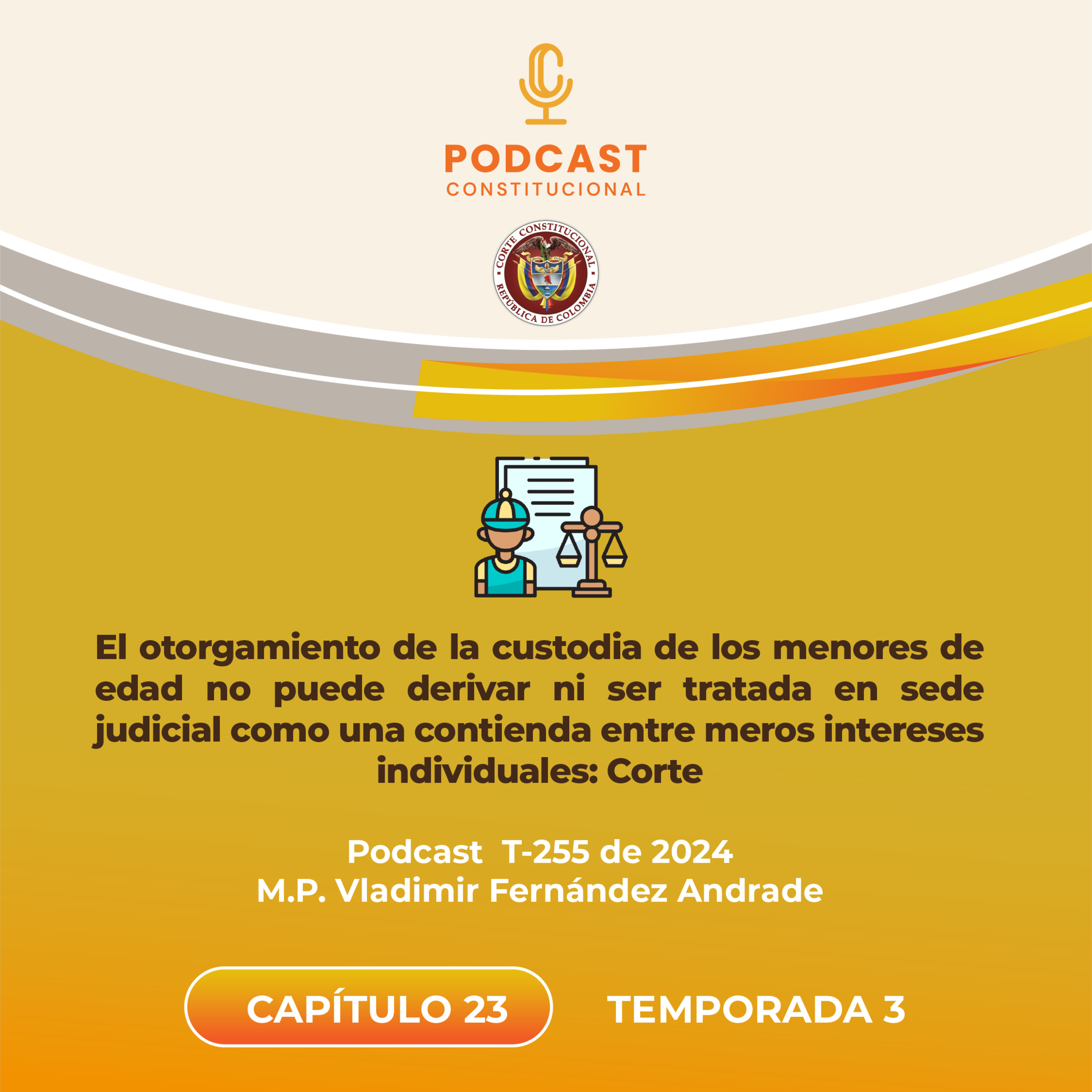 Llamado sobre la custodia de menores de edad episode artwork