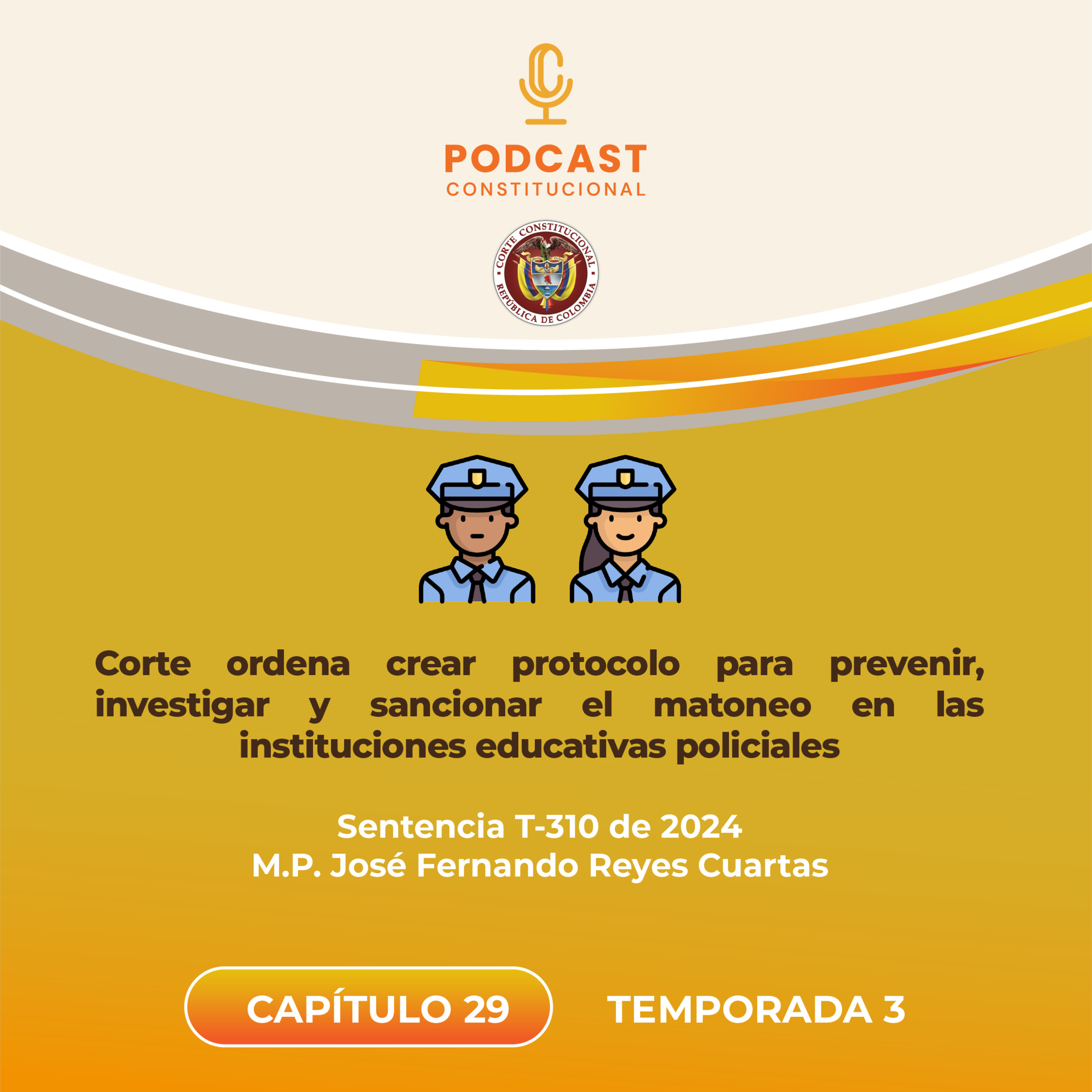 Prevención de matoneo en instituciones policiales episode artwork