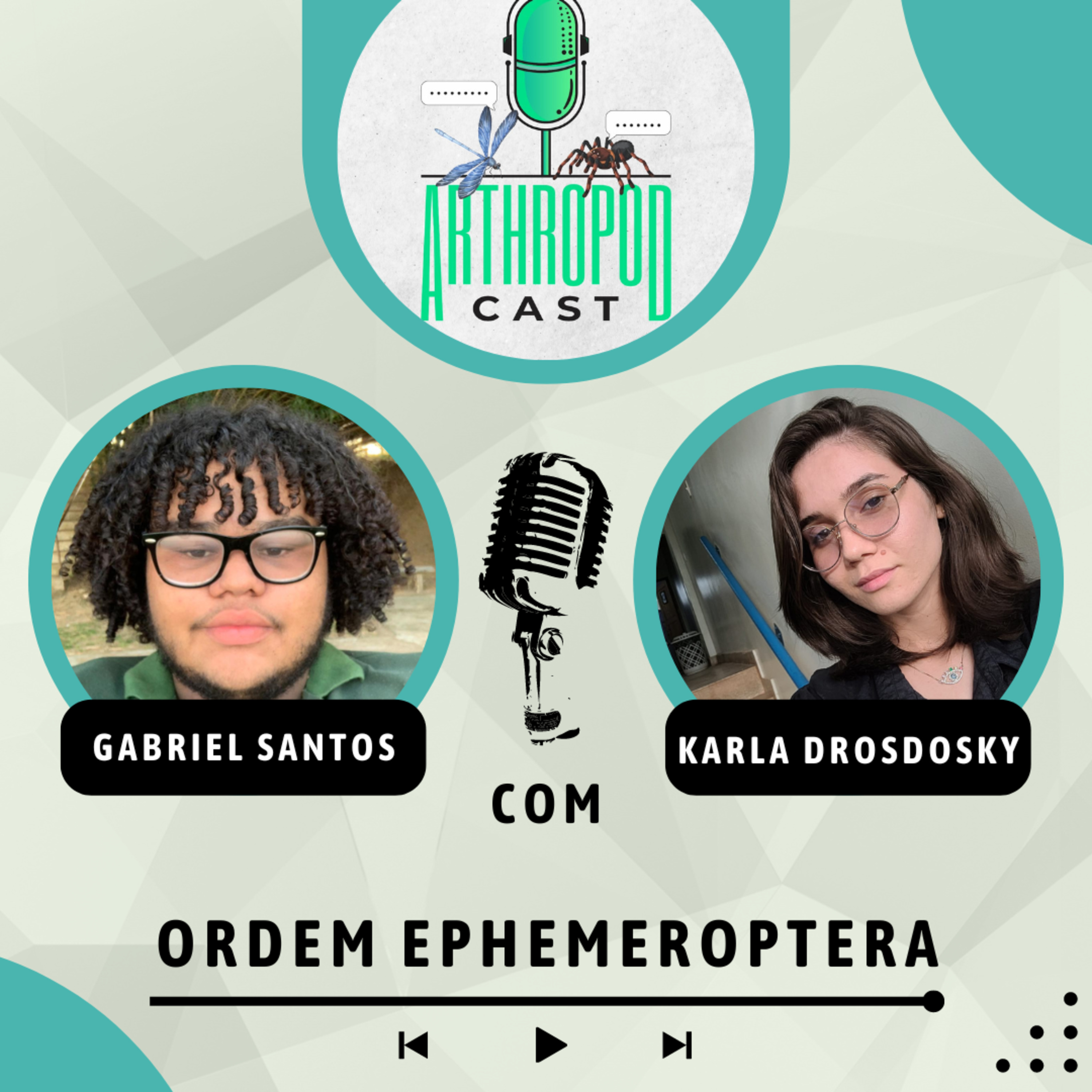 Ordem Ephemeroptera (Insetos #4)