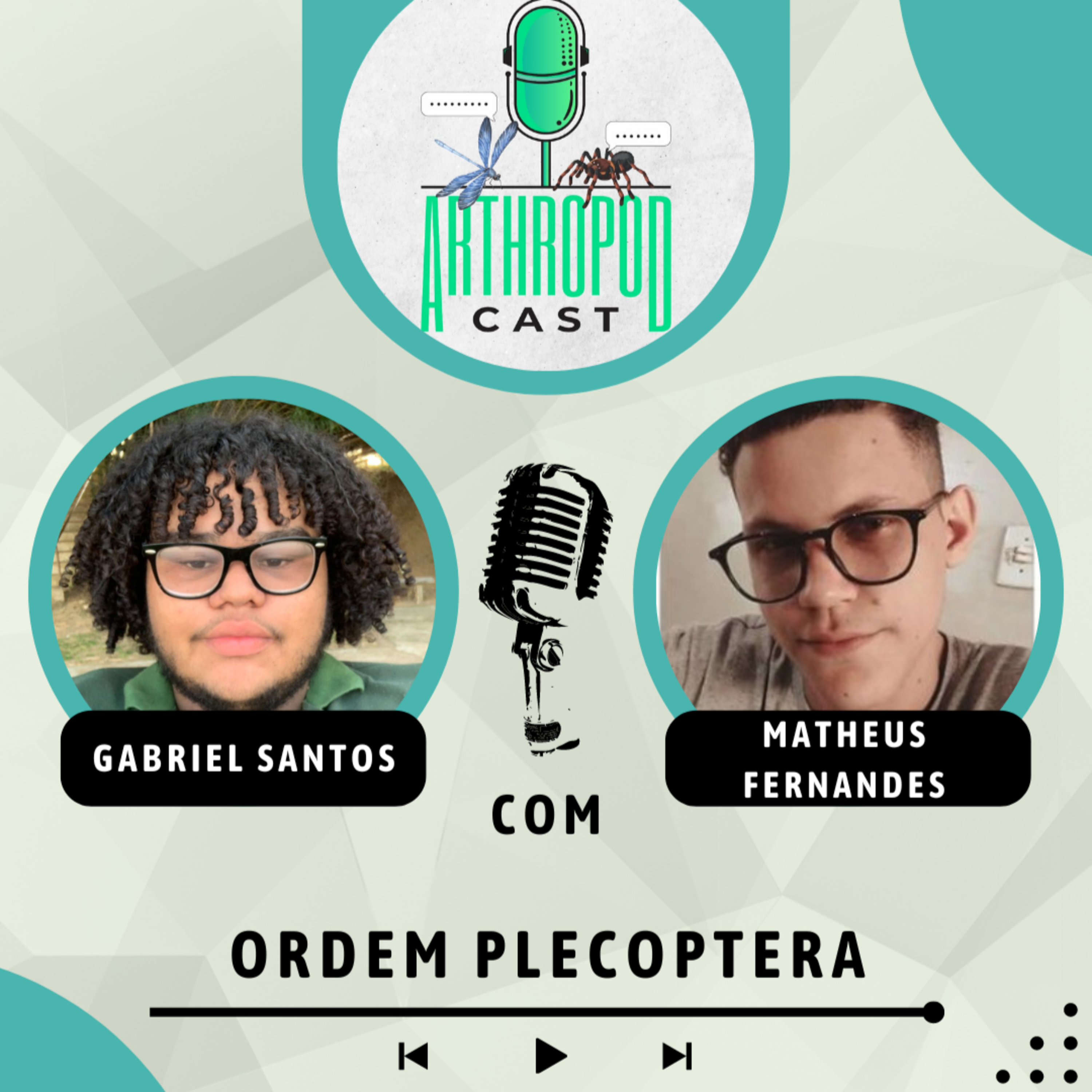 Ordem Plecoptera (Insetos #6)