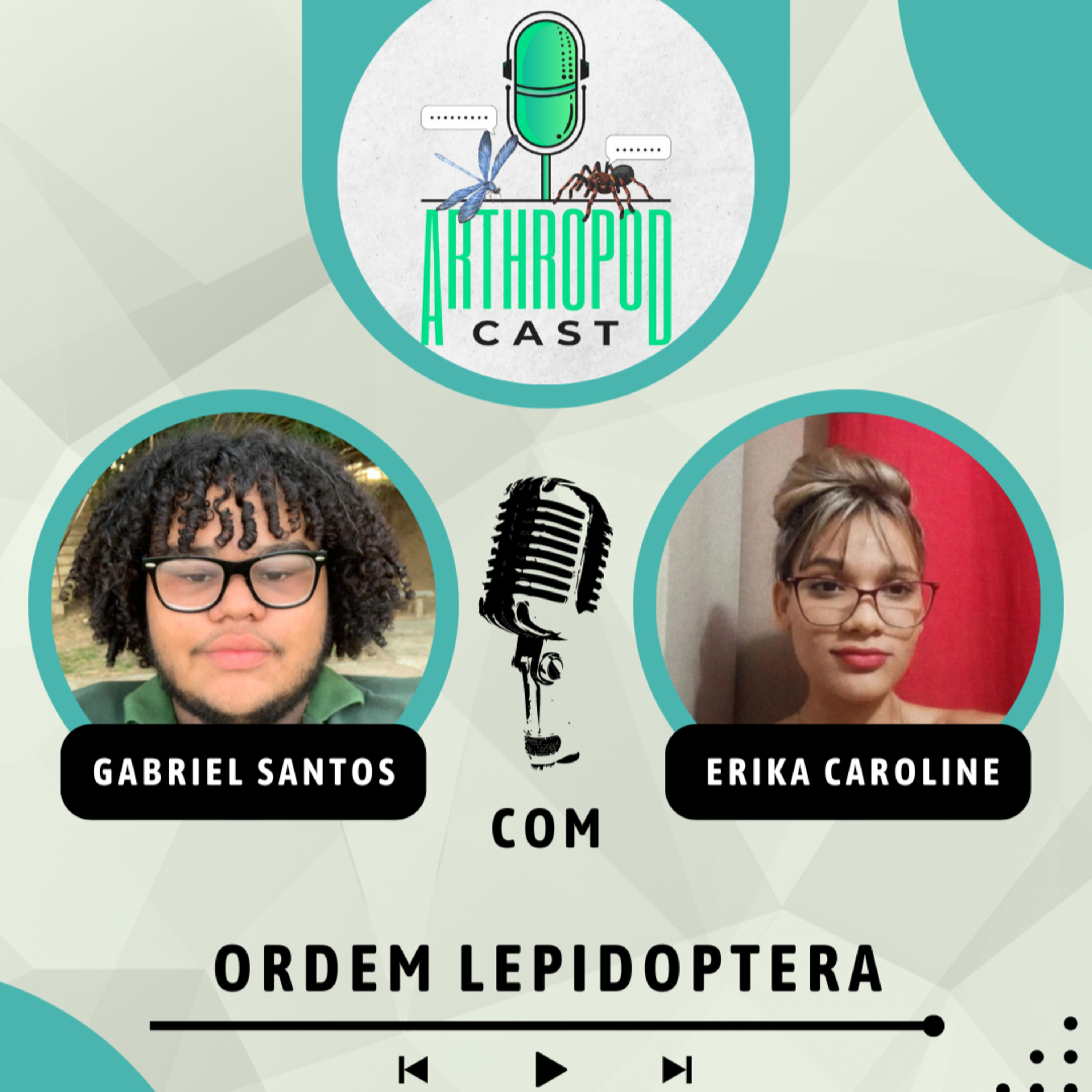 Ordem Lepidoptera (Insetos #7)