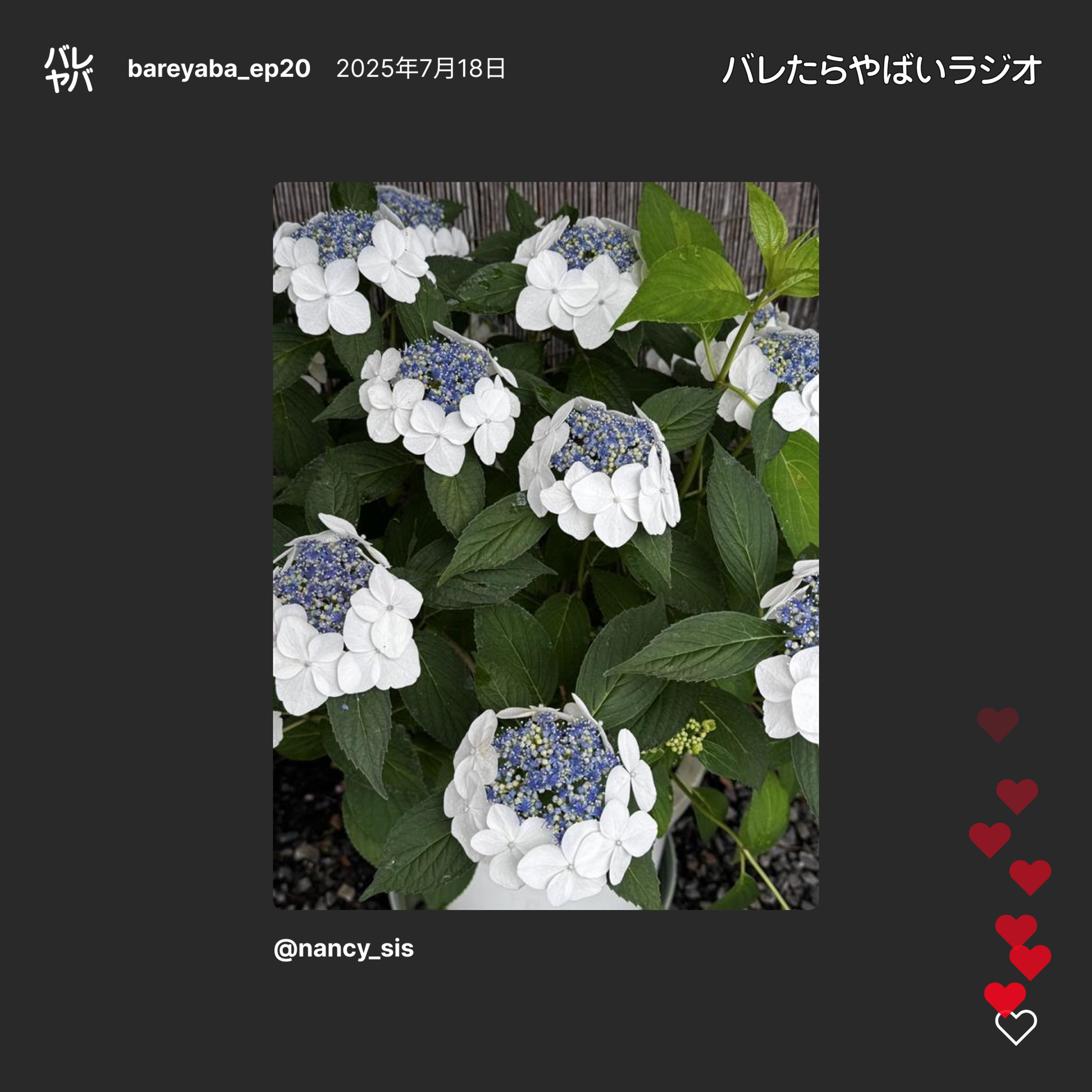20_ゲストと振り返る・これまでのエピソードの反省点 episode artwork