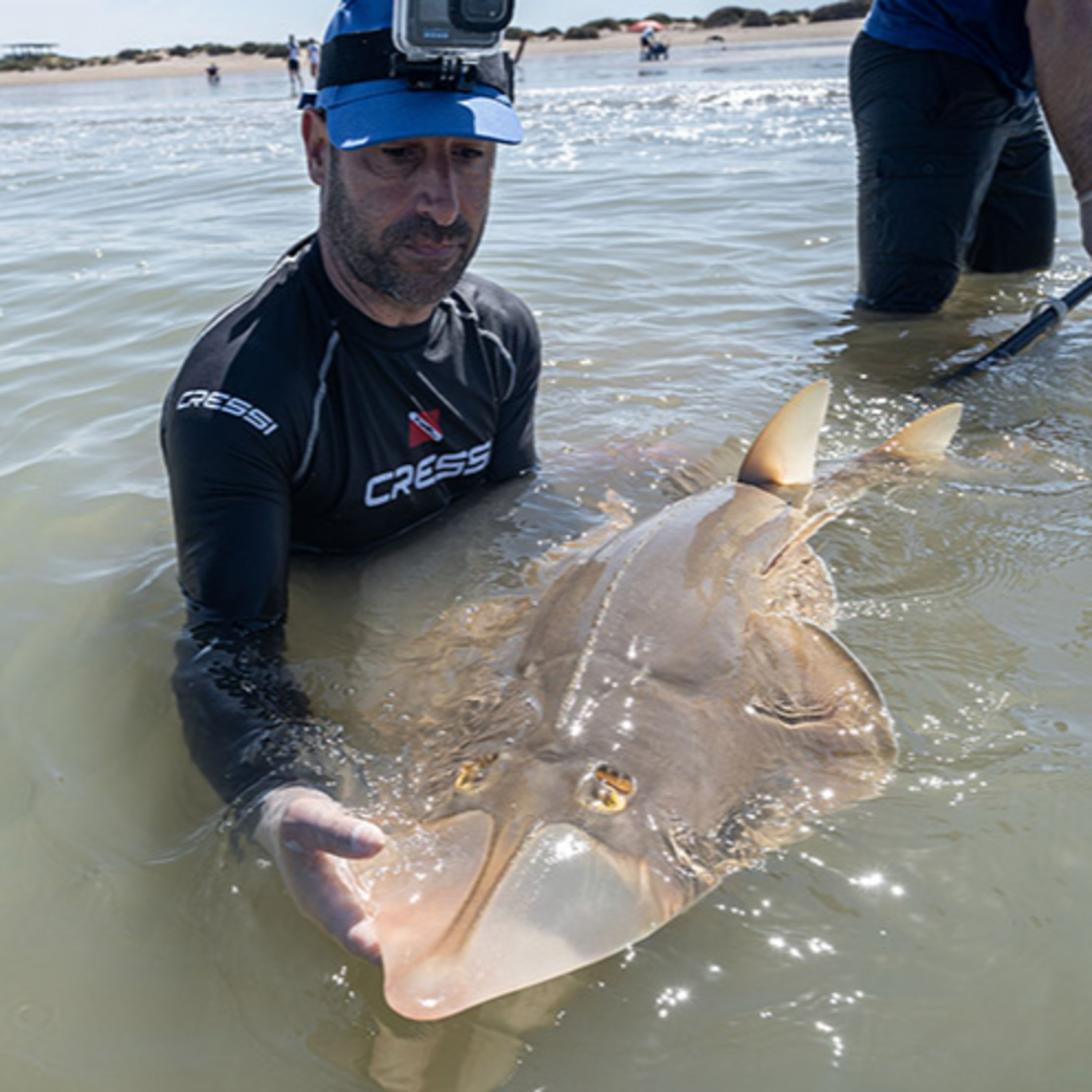 Rio de la Vida Pesca