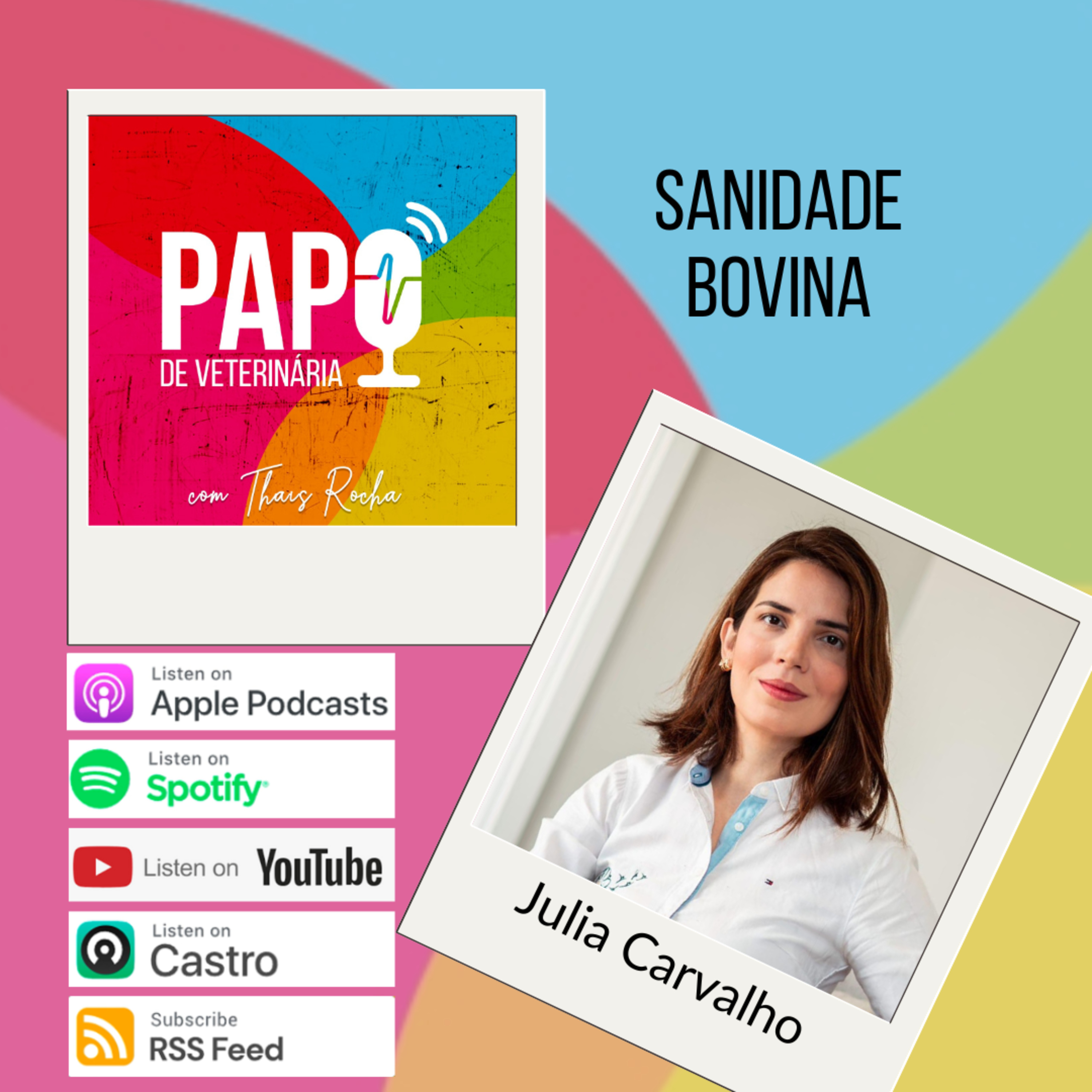 Trabalhando com a saúde dos bovinos - com Júlia Carvalho