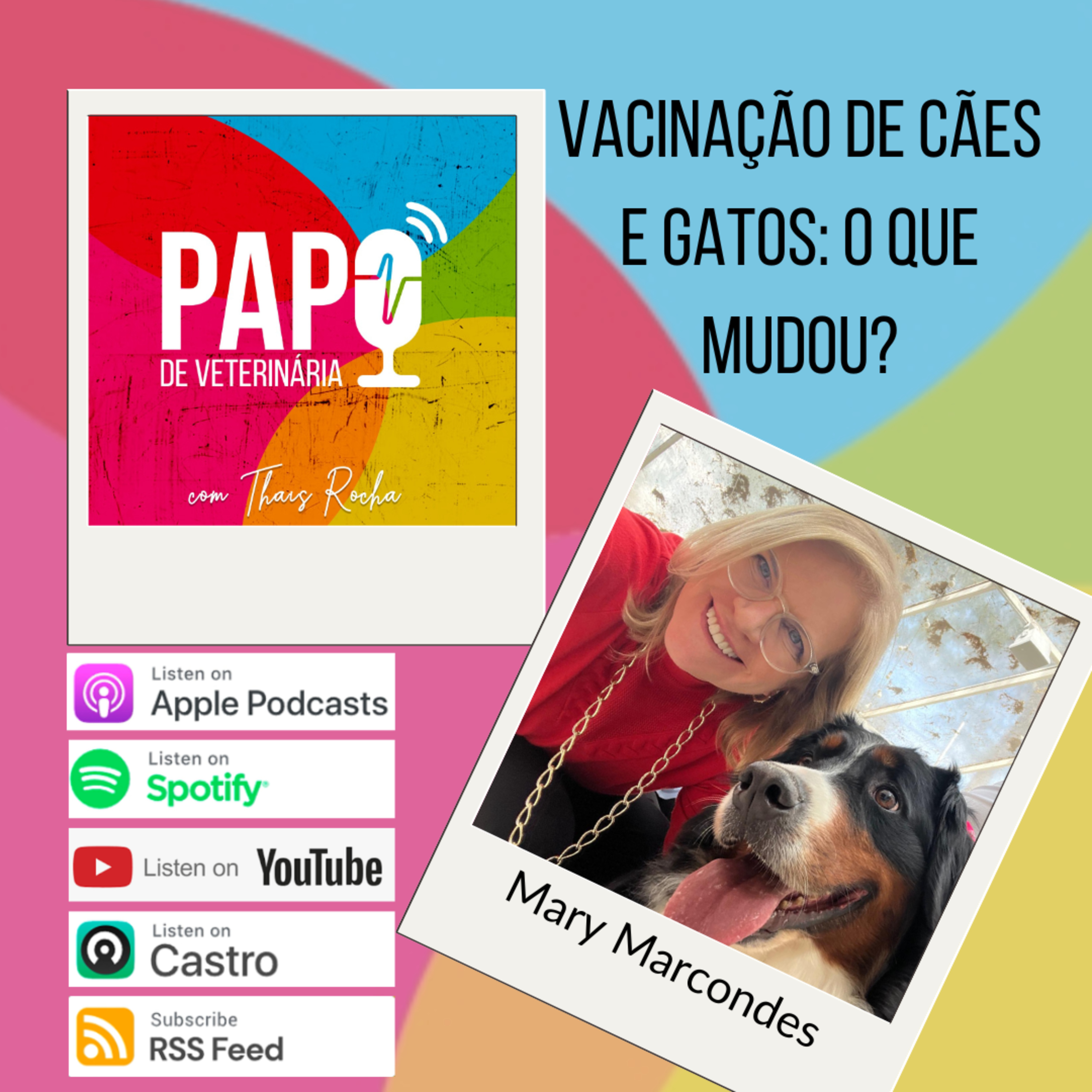 Vacinação de cães e gatos: o que mudou?