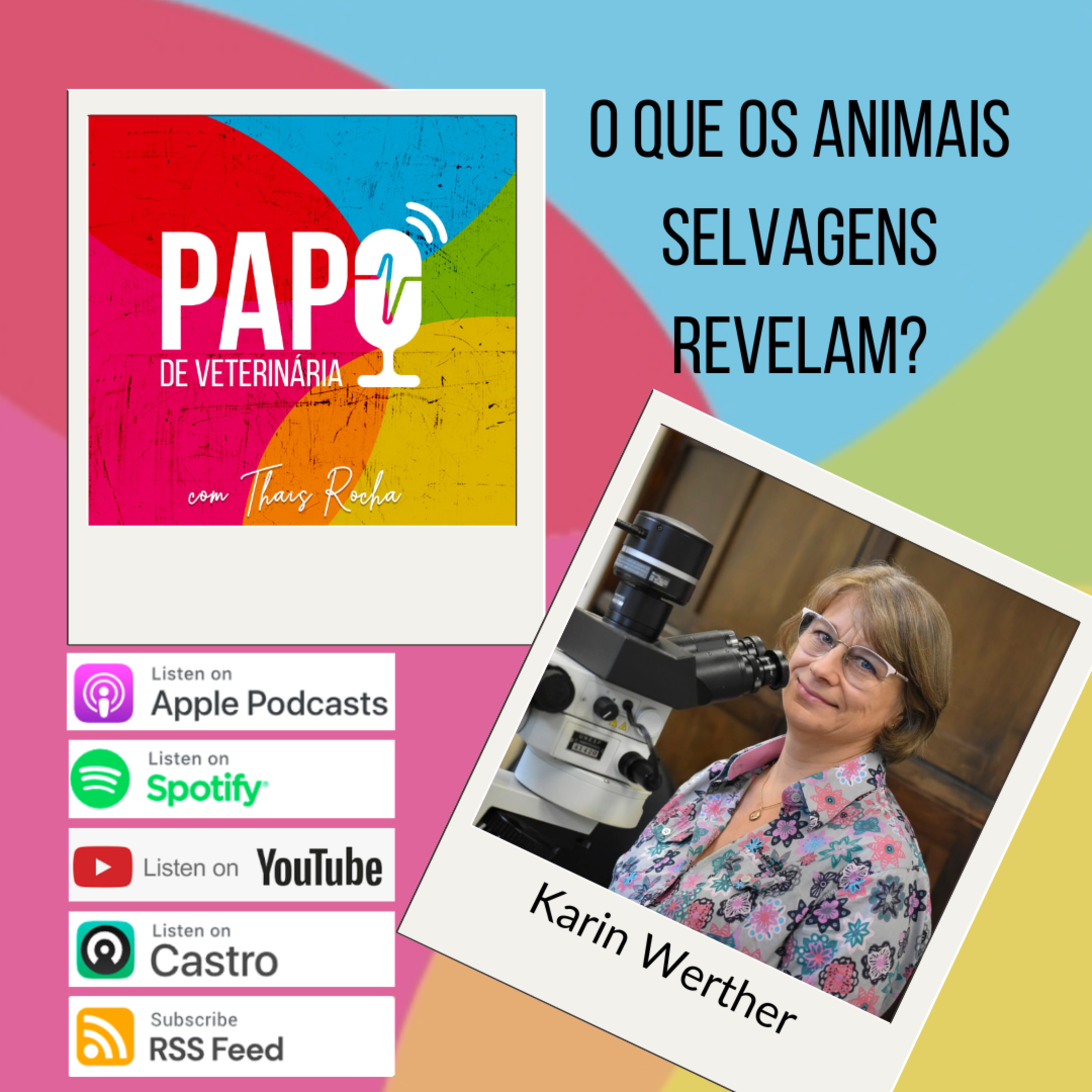 O que os animais selvagens revelam?