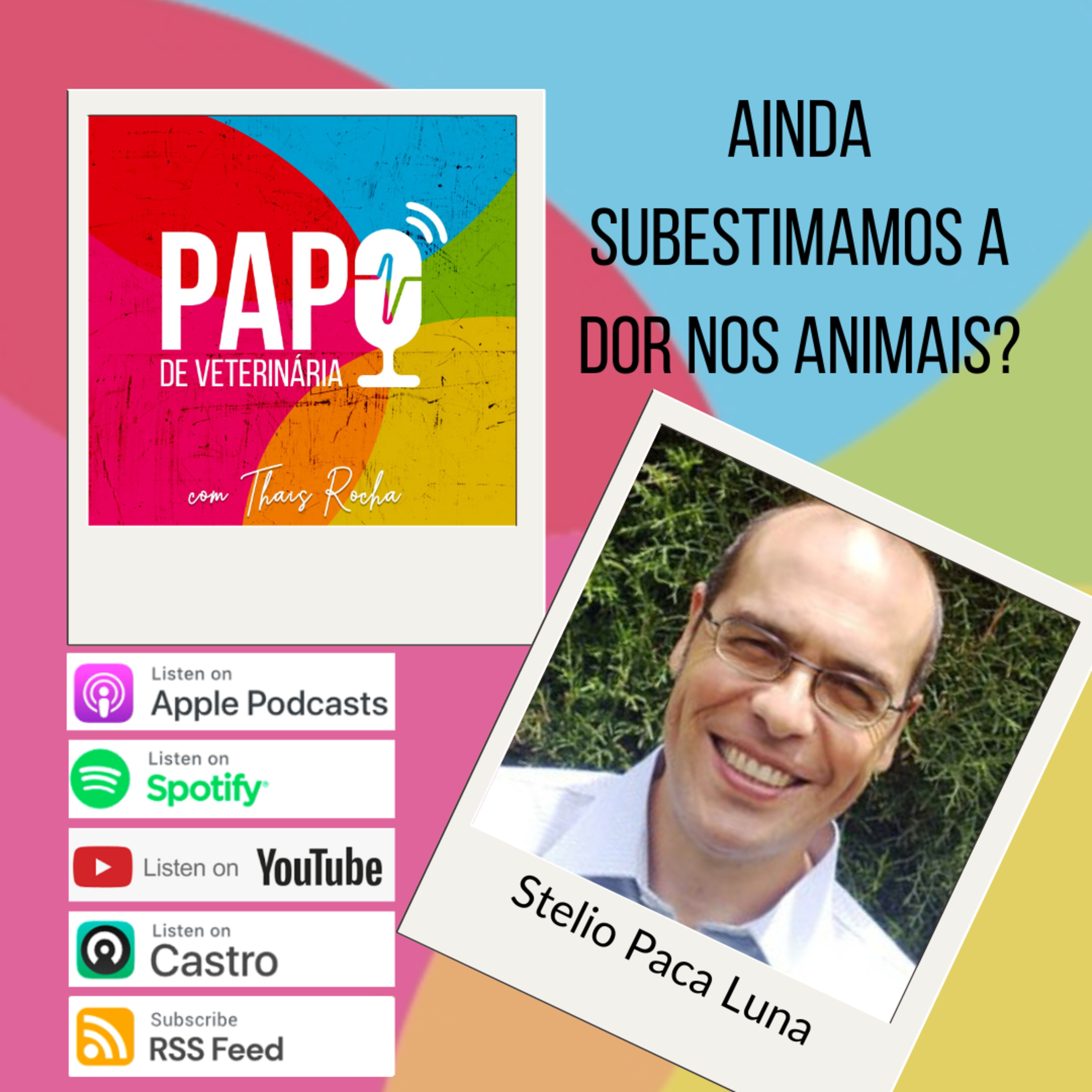 Nós subestimamos a dor dos animais? Ciência, analgesia e acupuntura veterinária