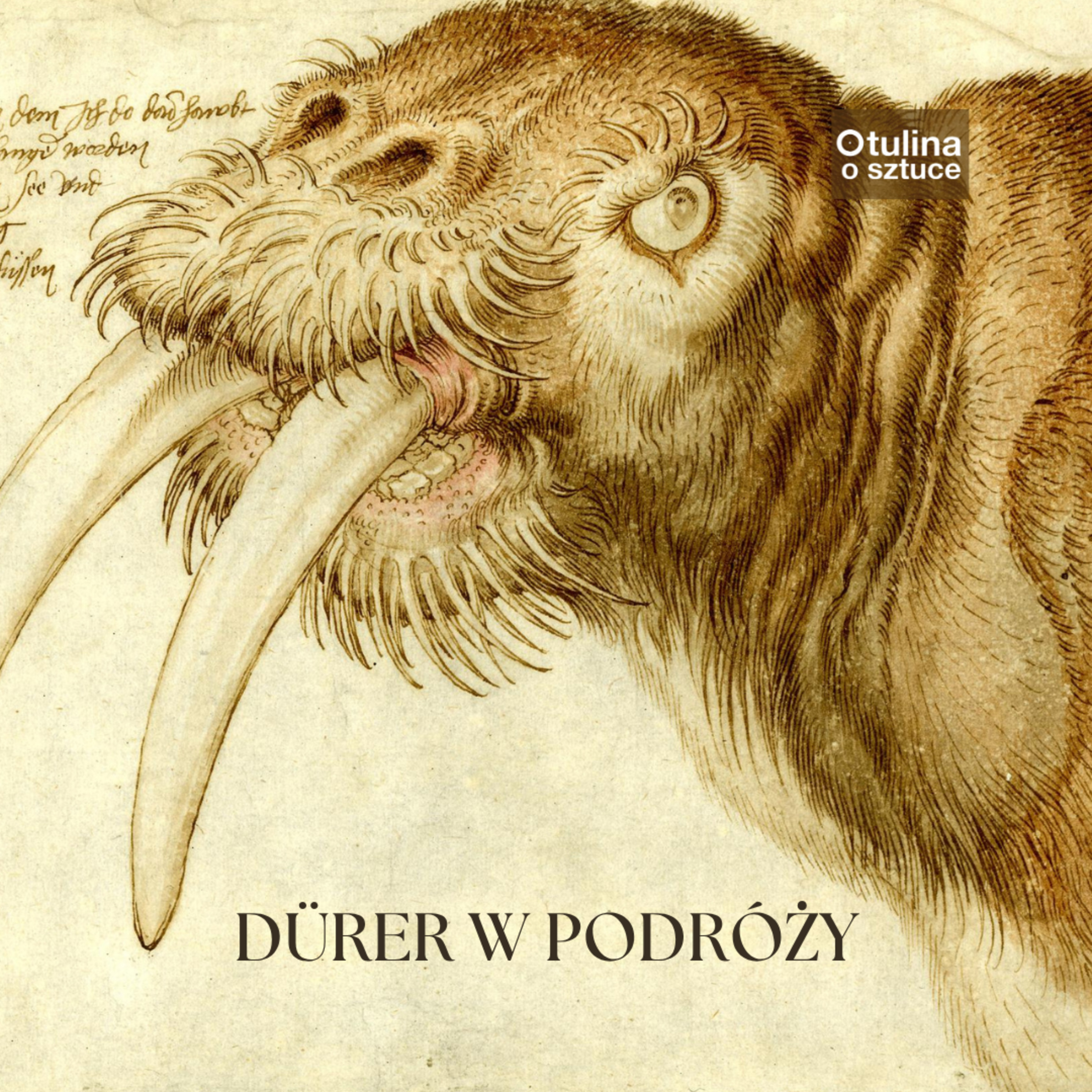 Dürer w podróży | s05 e14 episode artwork