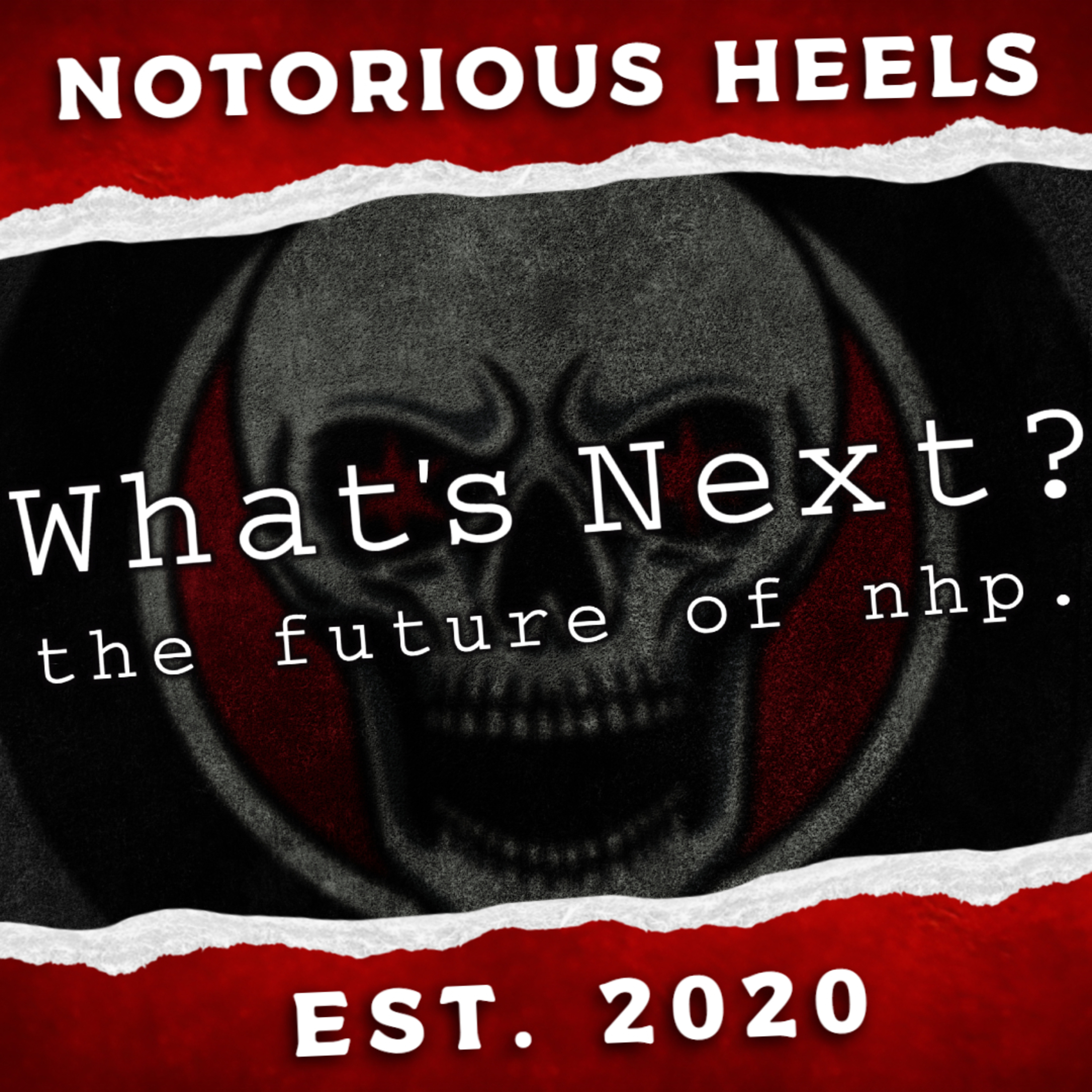 What's Next? The Future of NHP. episode artwork
