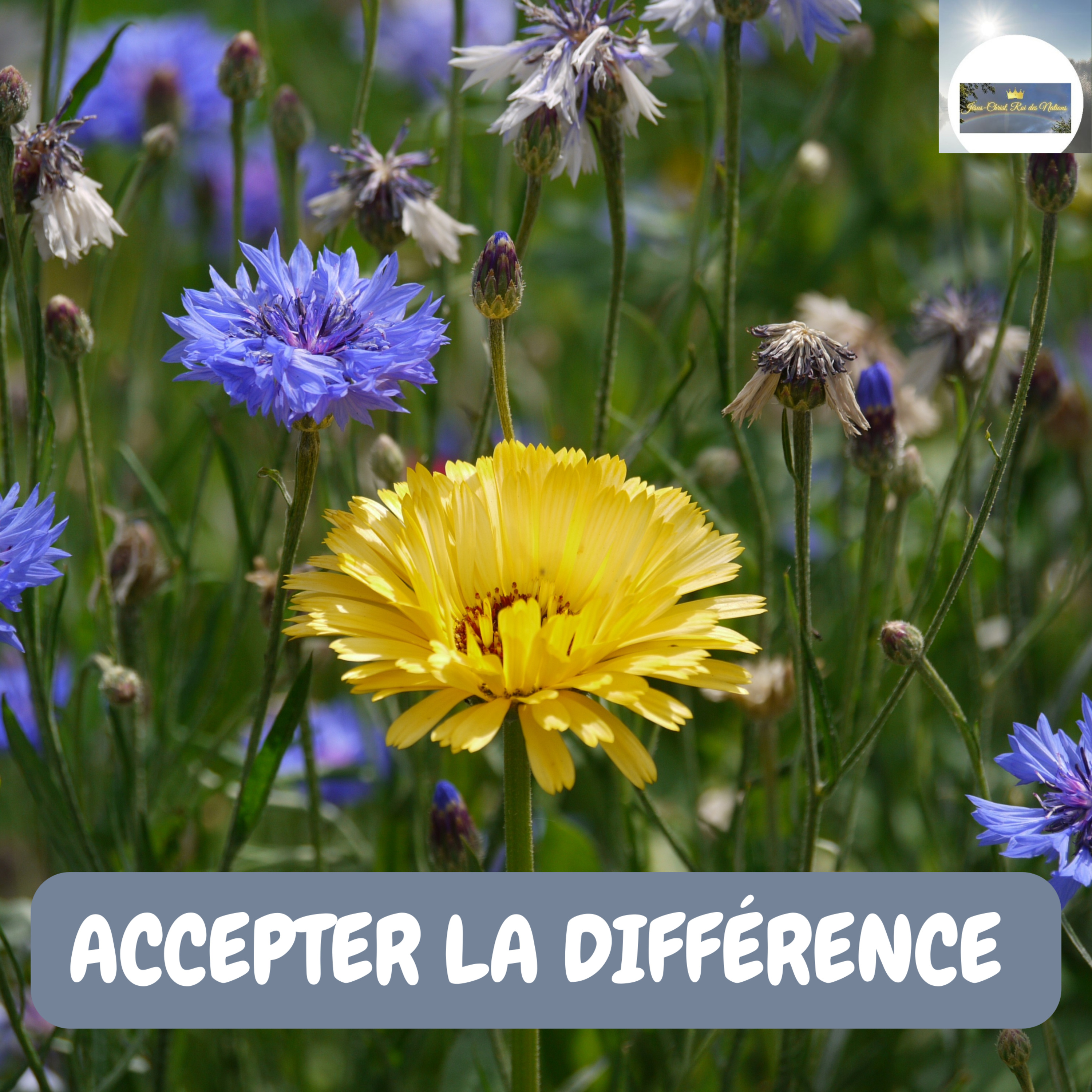 ACCEPTER LA DIFFERENCE episode artwork