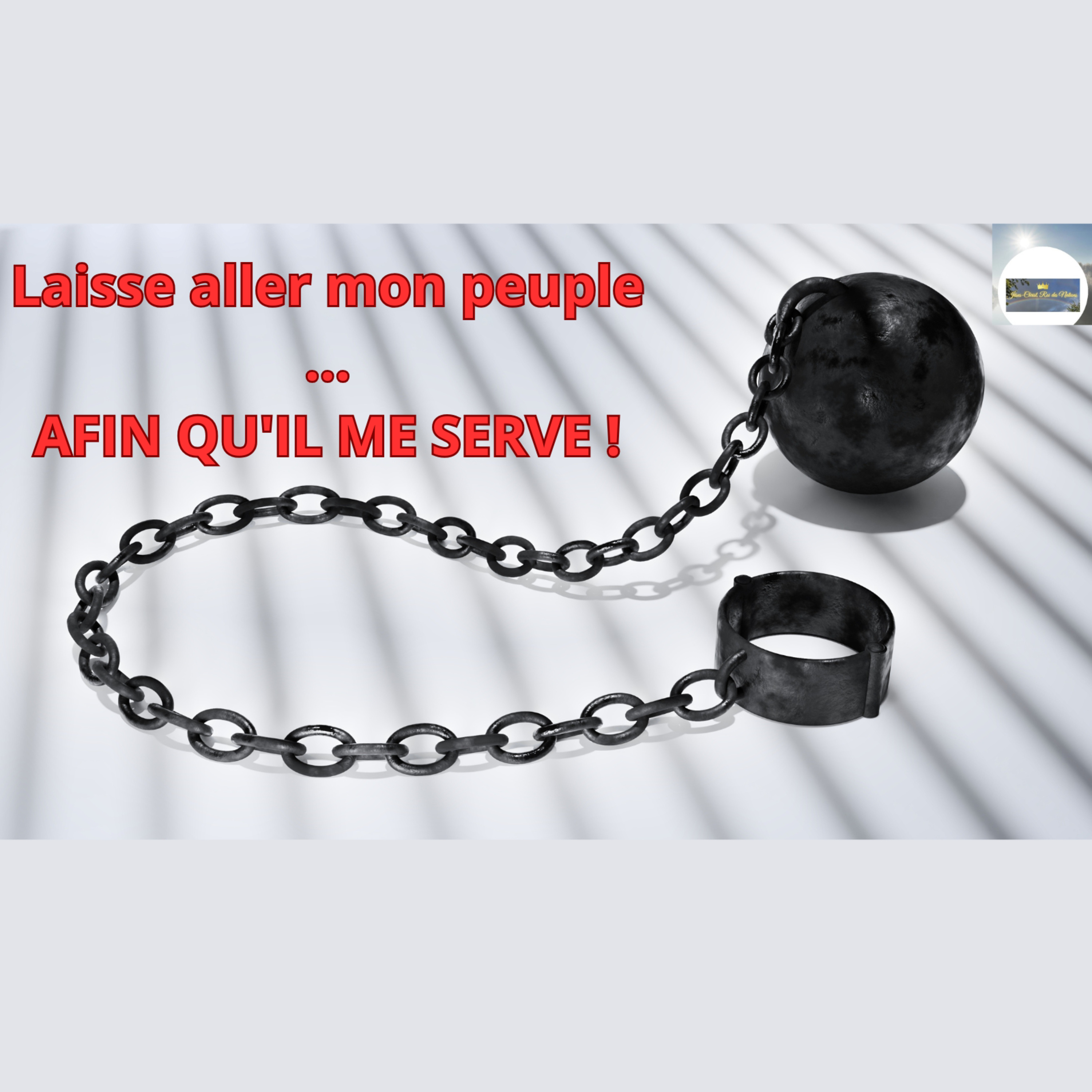 Laisse aller mon peuple…AFIN QU'IL ME SERVE ! episode artwork