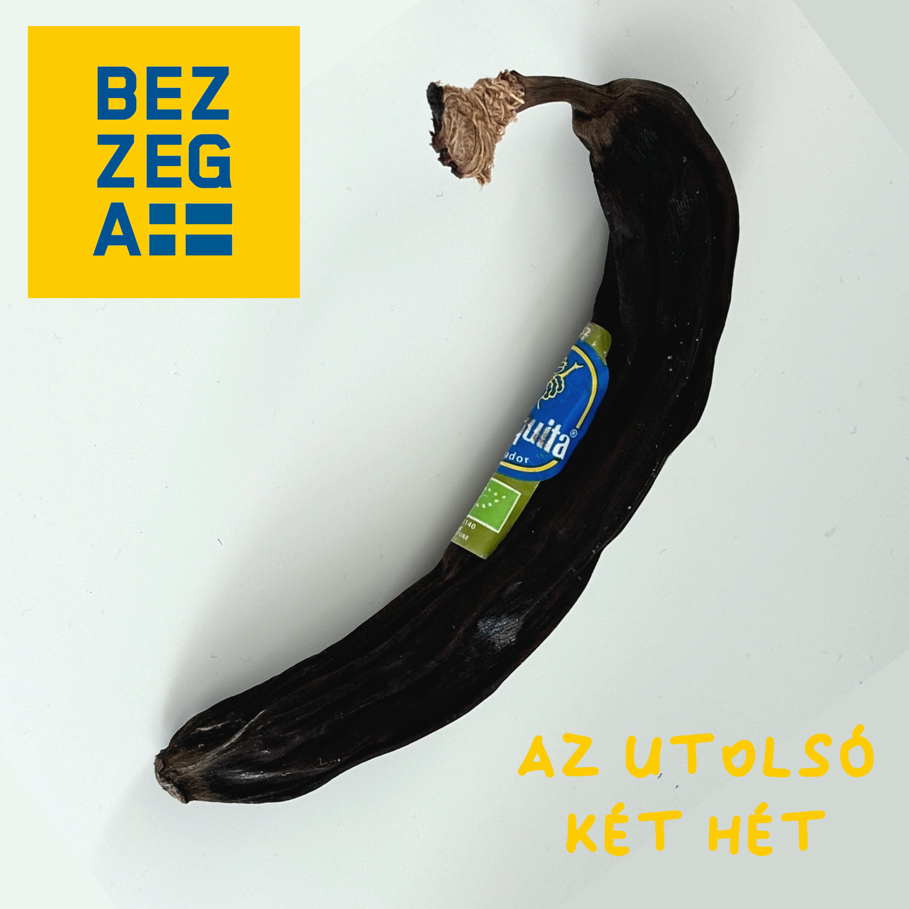 az utolsó 2 hét hazaköltözés előtt - hallgatói kérdésekkel