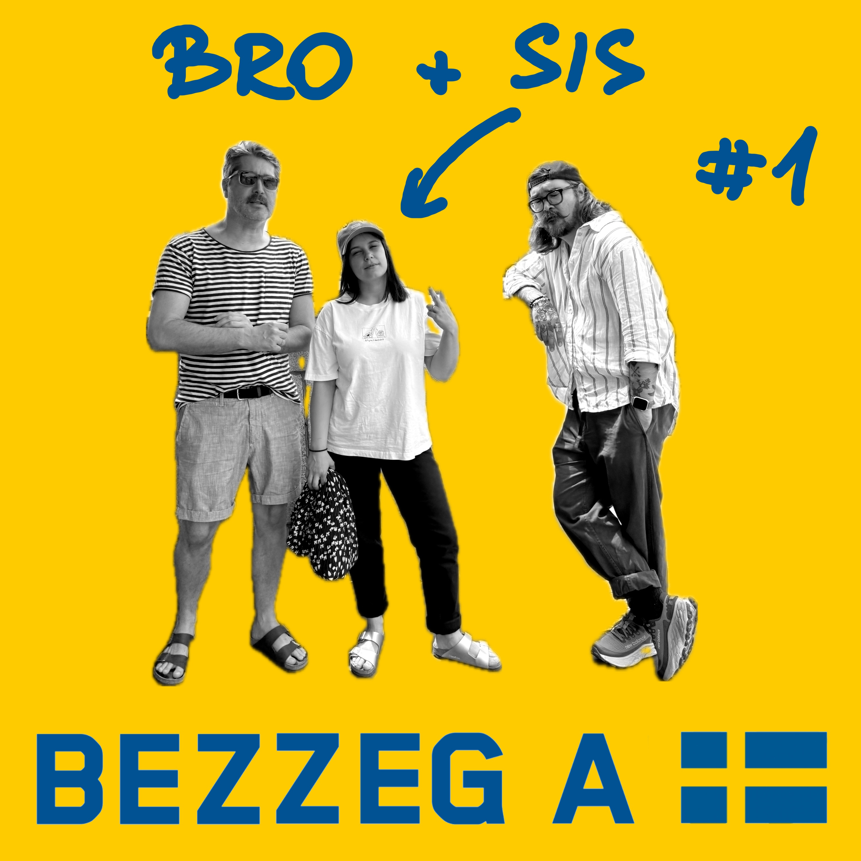 BRO#1 beilleszkedés vs. asszimiláció vs. odatartozás