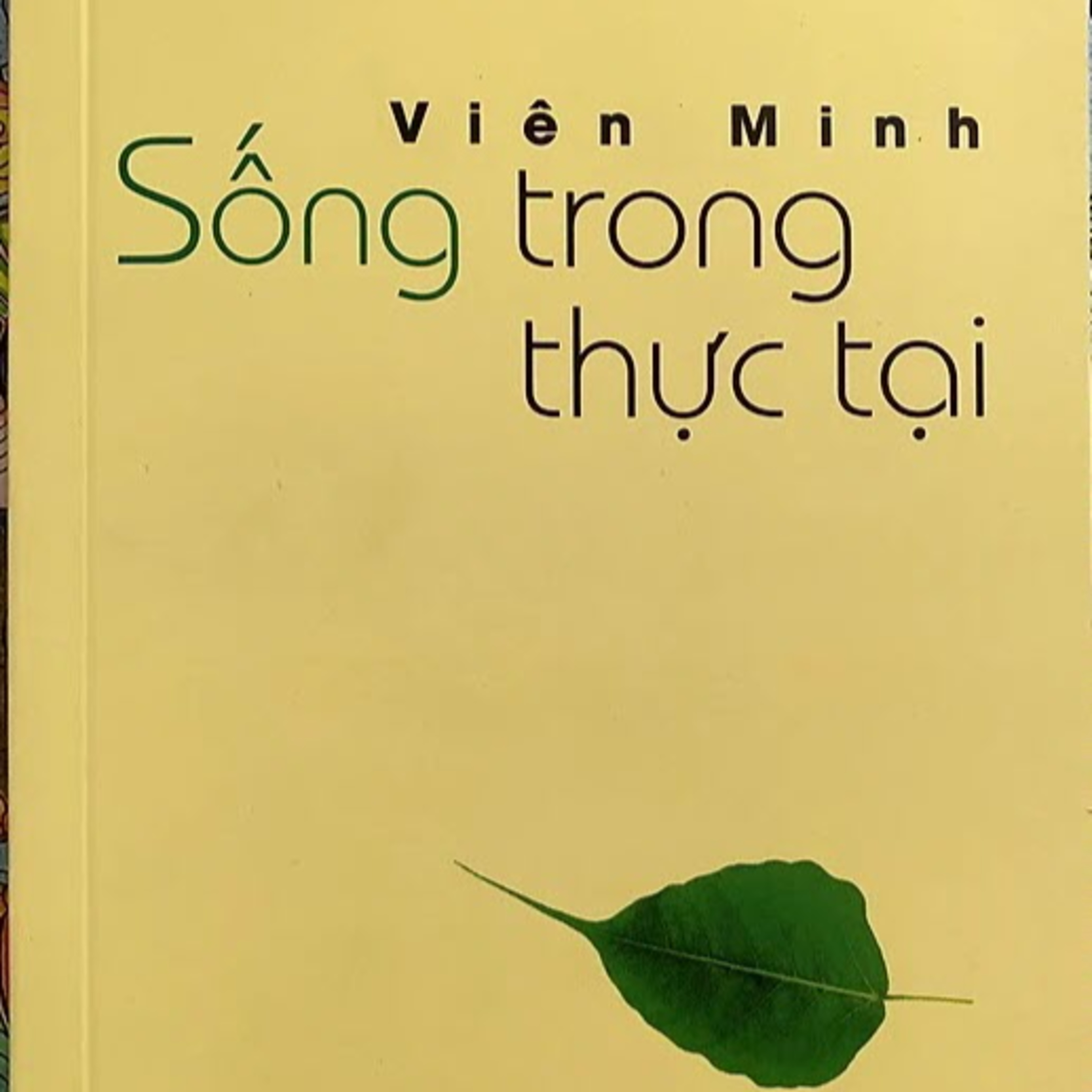 SỐNG TRONG THỰC TẠI - HT Viên Minh episode artwork