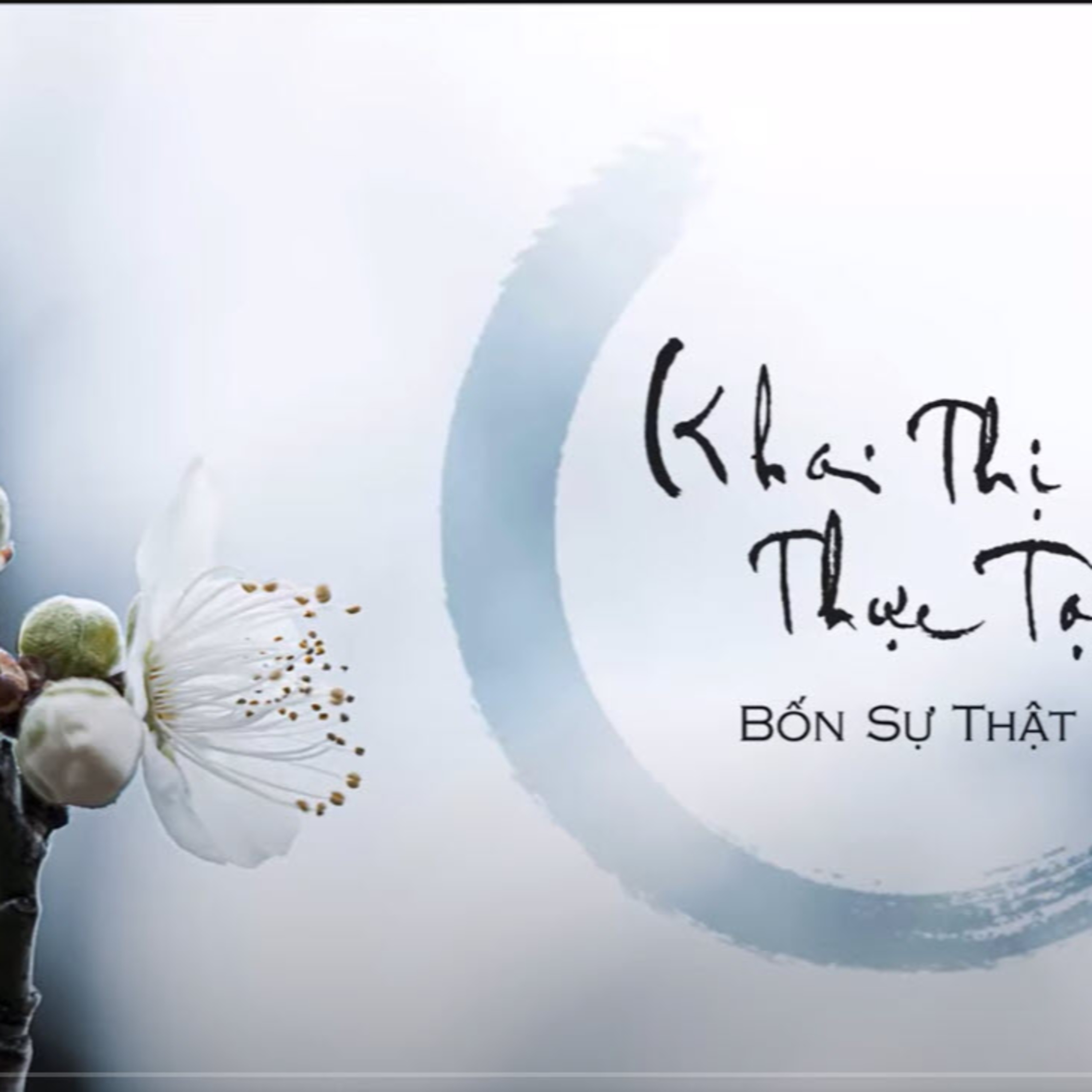 KHAI THỊ THỰC TẠI - HT Viên Minh episode artwork