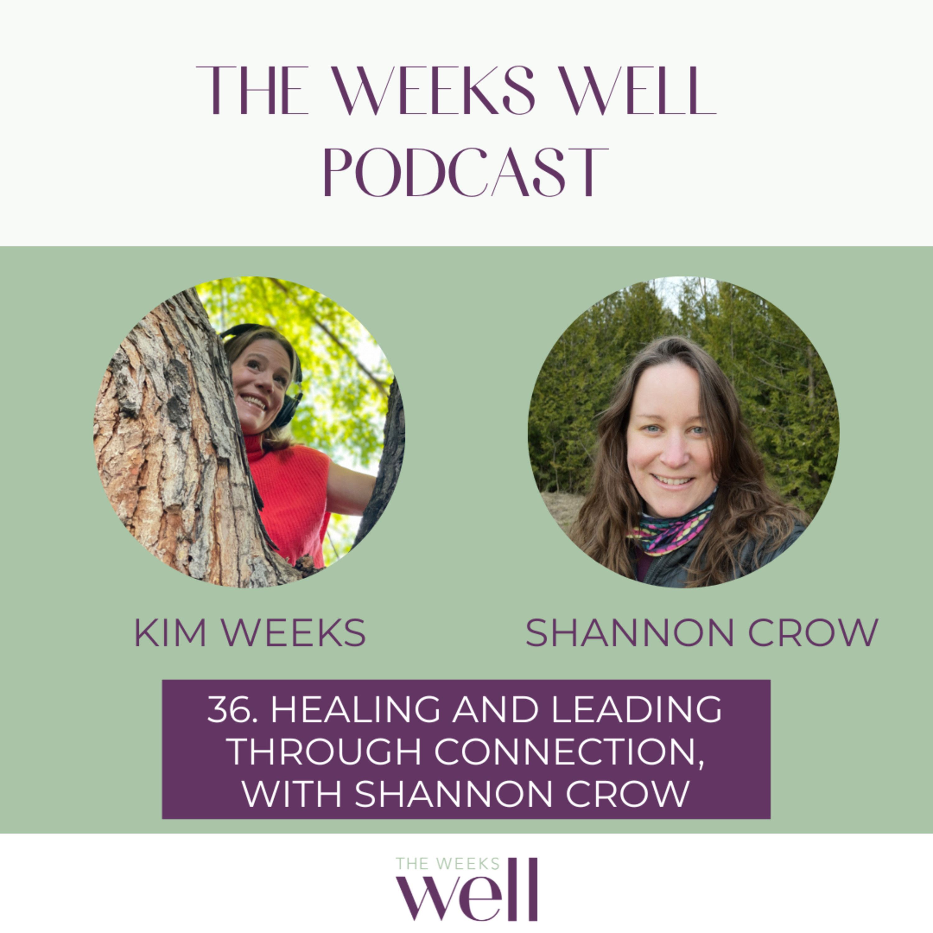 The Weeks Well