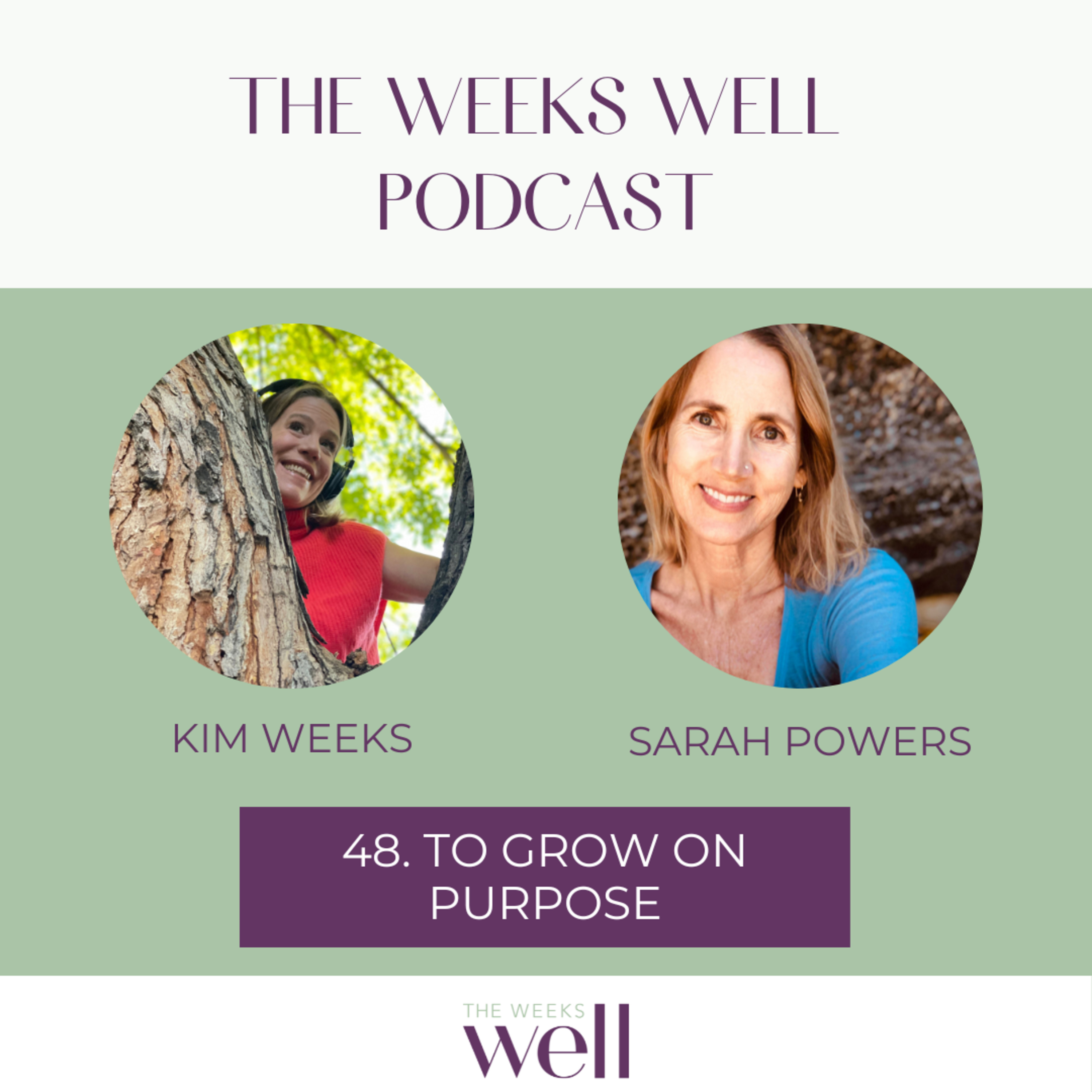 The Weeks Well