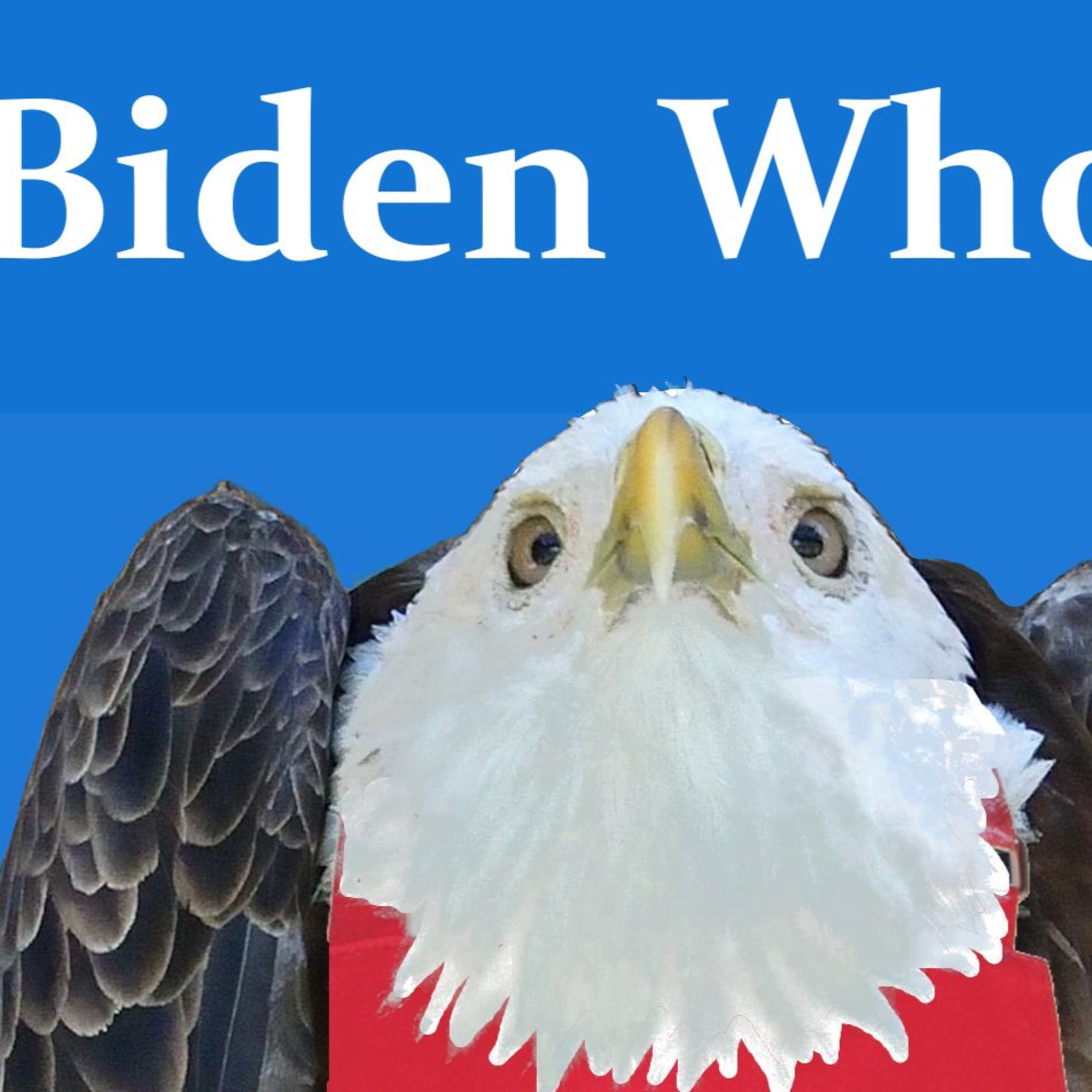 Biden Who? episode artwork